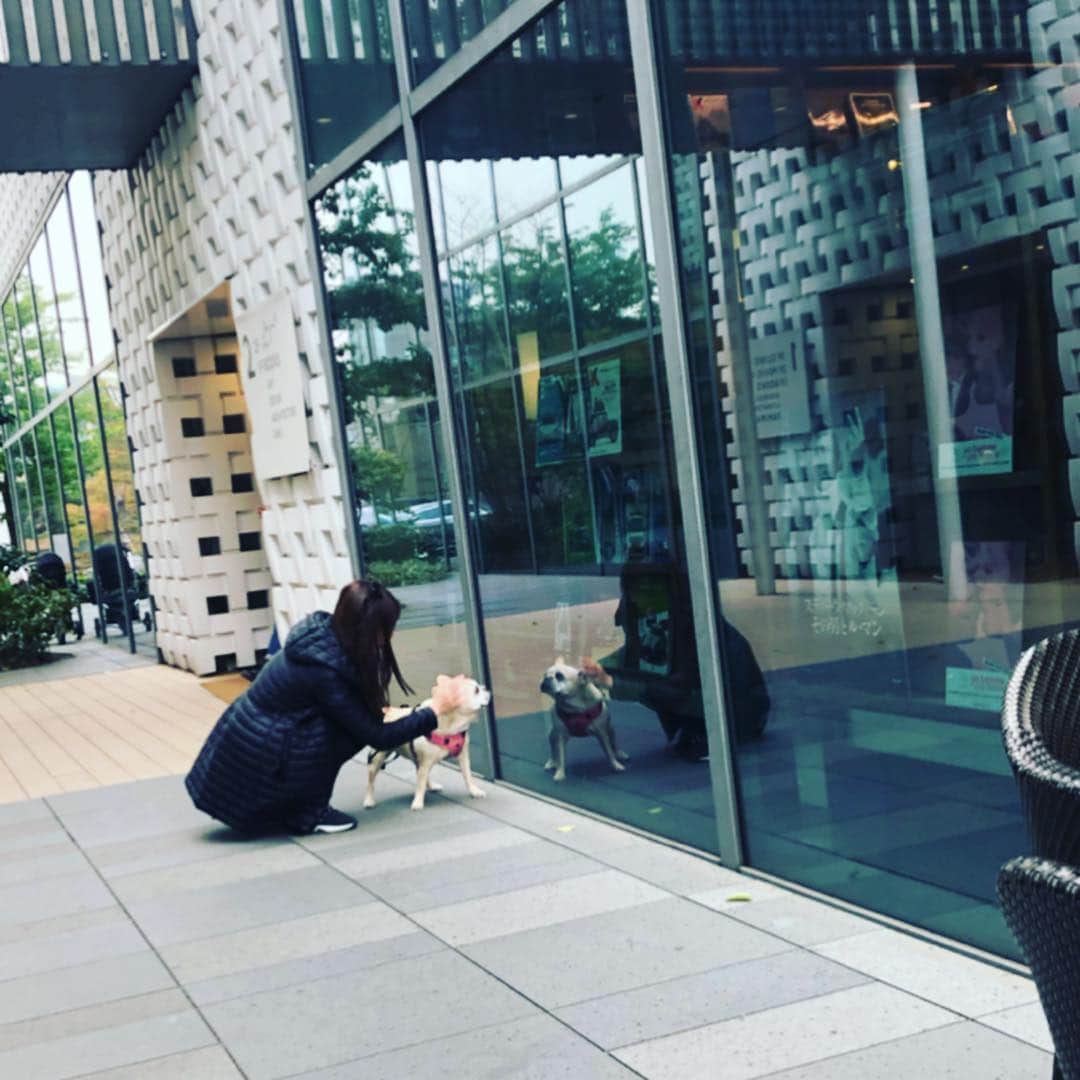 森本さやかのインスタグラム