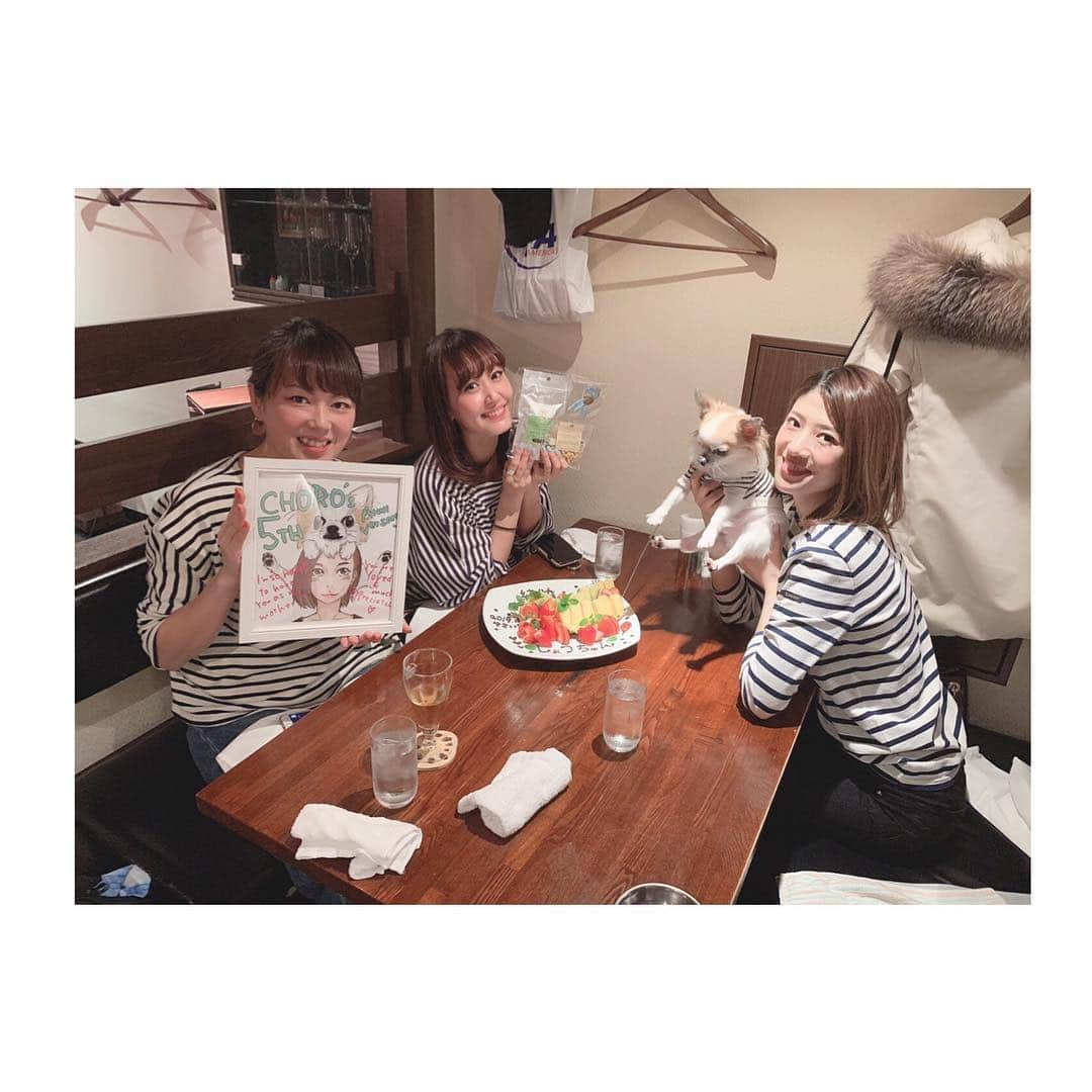 菊井彰子さんのインスタグラム写真 - (菊井彰子Instagram)「✨✨Happy Birthday ✨✨ Dear CHORO🐶 5th Anniversary🎂 いつまでも健康で長生きしてね♫  そして私までお祝いしてくれてありがとう🙇‍♀️❤️ #生誕祭 #ドレスコード #ボーダー」4月1日 6時42分 - yanakiku_kiku