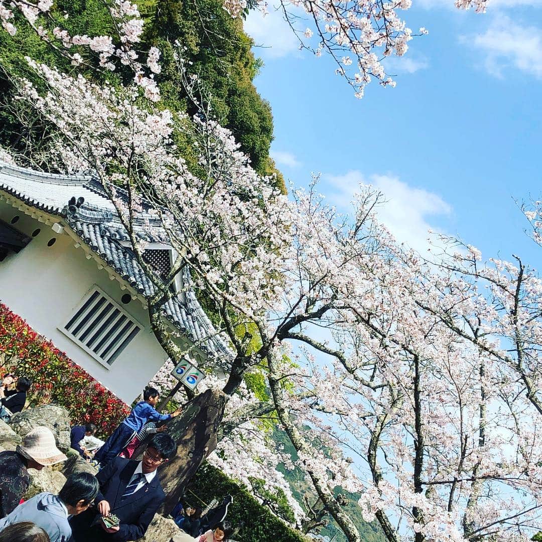 大谷ノブ彦さんのインスタグラム写真 - (大谷ノブ彦Instagram)「佐伯の桜」4月1日 6時49分 - dnjbig