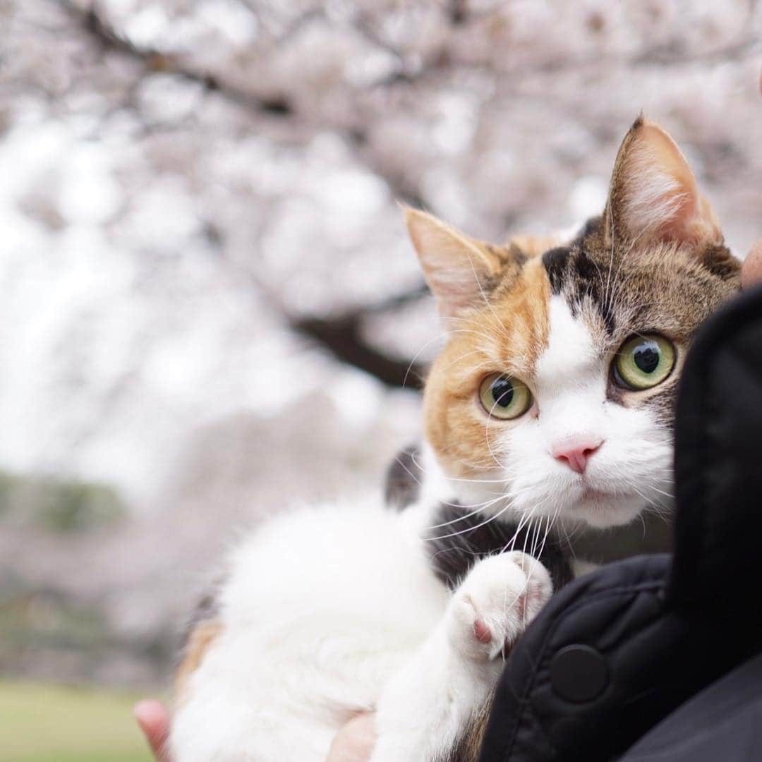 みかんのインスタグラム