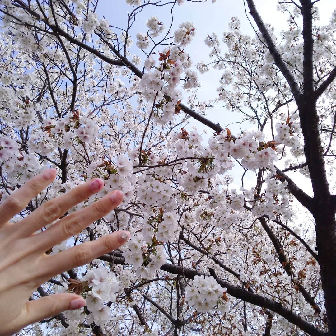 早川愛さんのインスタグラム写真 - (早川愛Instagram)「おはようございます♡ 今日から４月！新年度わくわくですね♡♡♡ 新元号の発表も気になりますね！ きのうはあたたかかったのでお花見をしてきたよ♡♡♡ 3時間もお散歩しました♡♡♡ ・  最近のネイルは、 流行りの押し花と大理石と何度もリピートしているヴァンクリ♡♡♡ 春ぽくてお気に入り...♡♡♡ ちょっと蟹みたいになっちゃった笑 ・ ・ ・  @nailmix_and_es #お散歩 #お花見 #桜ネイル  #春ネイル #押し花ネイル  #大理石ネイル #ヴァンクリネイル  #ブランドネイル #ピンクネイル  #新宿 #新宿三丁目  #ネイルミックス  #walking #cherryblossom #nailstagram  #pinknails」4月1日 7時14分 - megumegu_1006