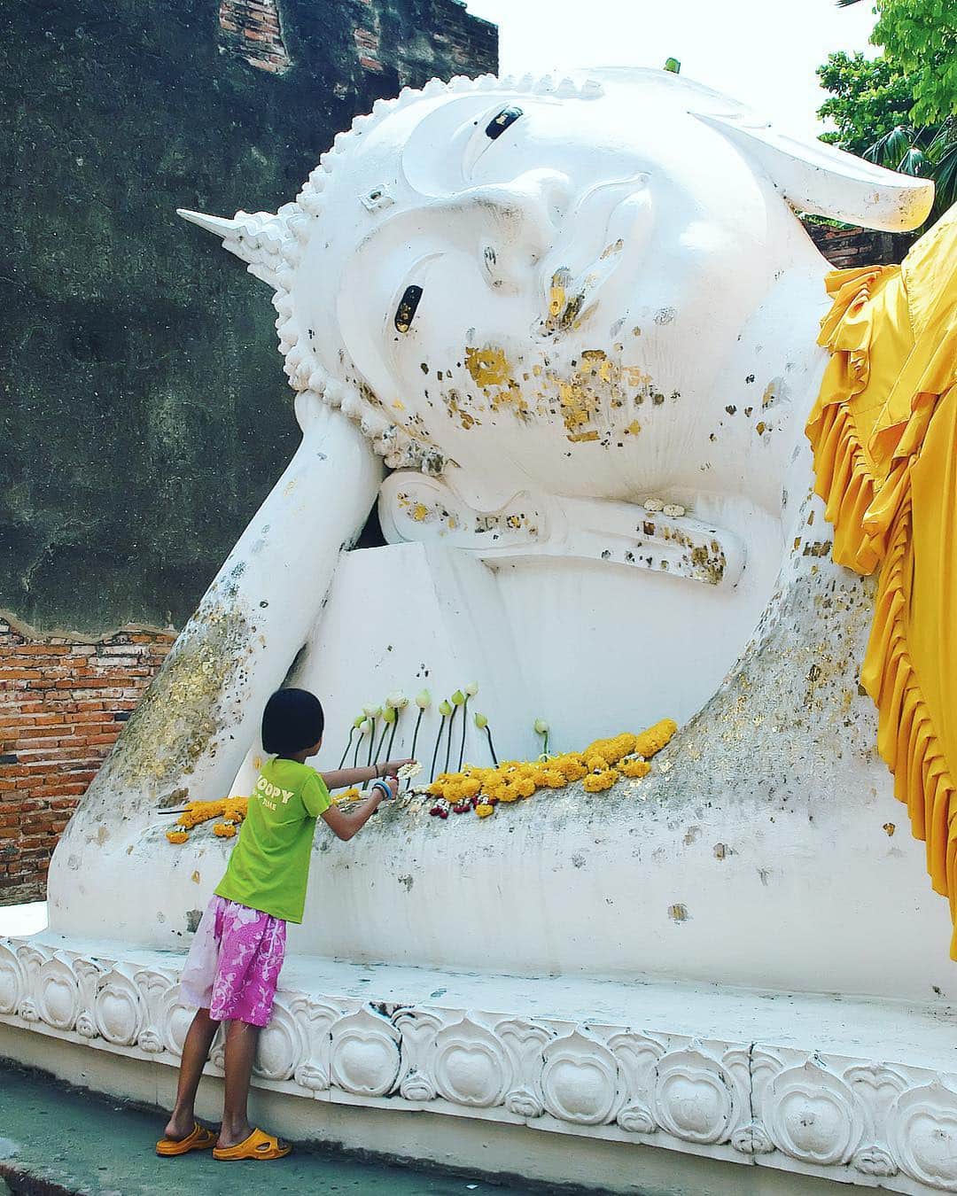 タイ国政府観光庁さんのインスタグラム写真 - (タイ国政府観光庁Instagram)「世界遺産アユタヤ遺跡群の寺院「ワット・ヤイ・チャイ・モンコン」から、おはようございます☀️﻿ ﻿ 今週も1週間がんばりましょう😊﻿ ﻿ 写真は「ワット・ヤイ・チャイ・モンコン」にある涅槃仏。参拝客は花をお供えしたり袈裟を寄進して祈りを捧げます✨﻿ ﻿ #今週も頑張ろう #タイ #アユタヤ #ワットヤイチャイモンコン #世界遺産 #タイ寺院 #お寺巡り #仏像 #こんなタイ知らなかった #もっと知りタイ #タイ旅行 #アユタヤ旅行 #微笑みの国 #タイランド #旅好きな人と繋がりたい #旅行好きな人と繋がりたい #thailand #ayutthaya  #watyaichaimongkon #temple #worldheritage #amazingthailand #thailandtravel #thailandtrip #thai #thaistagram #lovethailand #thainess」4月1日 7時47分 - amazingthailandjp