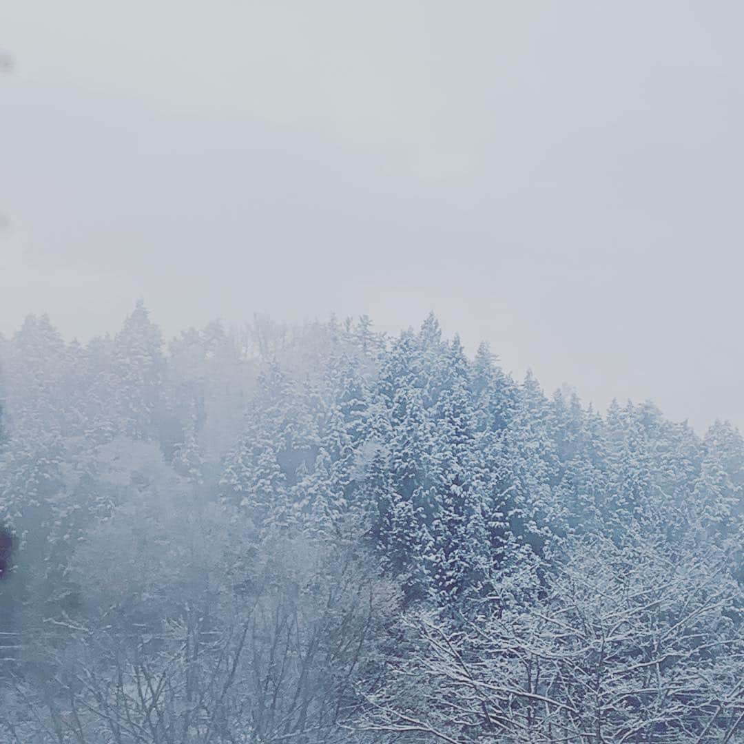 都竹悦子さんのインスタグラム写真 - (都竹悦子Instagram)「#四月の雪 #飛騨高山 #2019年4月1日」4月1日 7時55分 - etsukotsuzuku