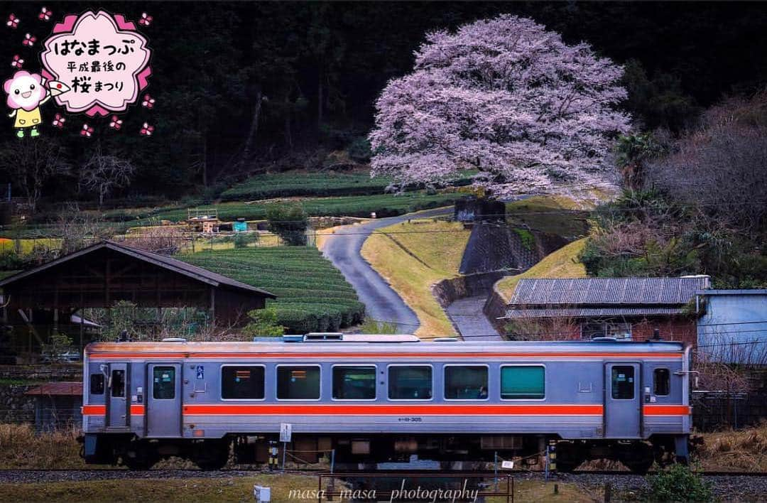 はなまっぷ❁日本の花風景さんのインスタグラム写真 - (はなまっぷ❁日本の花風景Instagram)「🍃🌸はなまっぷ平成最後の桜まつり🌸🍃 * @masa_masa_photography さんの 平成の桜に花まるを💮 * 平成を彩る日本の美しい桜をありがとうございます😊🌸🍃 * 三重  #津 Tsu, Mie Pref. * 見頃を過ぎている場所もご紹介しています。 お出かけの際はHP等で最新の情報をご確認くださいね🙏🌸🍃 * 🌸•••🍃•••🌸•••🍃•••🌸•••🍃•••🌸 * 🌸桜まつり概要🌸 * 期間:平成最後の日まで タグ:#はなまっぷ * #はなまっぷ  のタグの中から、桜のお写真をどんどんご紹介させていただきます。期間中はランダムに、複数枚投稿でもご紹介させていただく場合がございます。 * #桜#sakura#花見#さくら#日本#春#花#平成最後の#満開 * 🌸•••🍃•••🌸•••🍃•••🌸•••🍃•••🌸 * はなまっぷより * 💌LINEスタンプ「はなまっぷちゃん」絶賛発売中！みなさんのLINEにも花まるを💮 💌はなまっぷ本、Amazonや全国の書店さんで満開です！ぜひお手にとっていただけると嬉しいです🌸 * LINEスタンプ、はなまっぷ本は、プロフ欄記載のTwitterアカウントよりご確認ください。 * 🌸•••🍃•••🌸•••🍃•••🌸•••🍃•••🌸 *」4月1日 8時05分 - hanamap