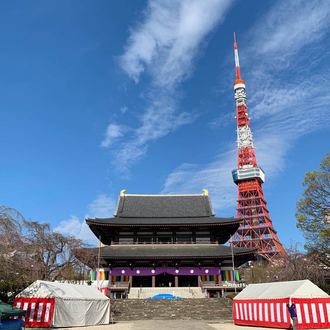 くろさんのインスタグラム写真 - (くろInstagram)「🗼🌸たわ！ #🗼 #tokyotower #東京タワー #芝公園 #増上寺 #zojoji #shibapark #cherryblossom #桜と東京タワー #東京タワーと桜 #tokyo_instagram #blueskyblue #doubletalllatte #starbuckscoffee #starbucks #tokyotower #スタバ #スターバックス #スターバックスコーヒー #東京タワーの見えるスタバ #東京タワーの見えるお店 #芝大門店 #スターバックスコーヒー芝大門店」4月1日 8時24分 - m6bmw