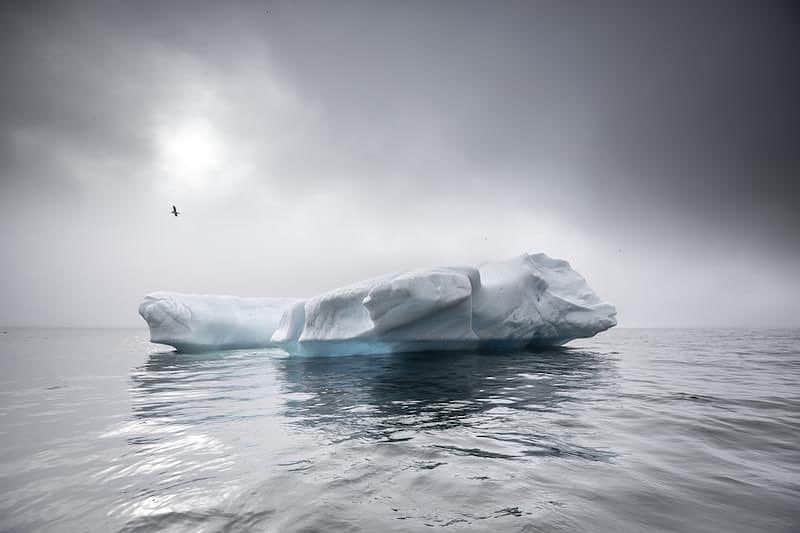 Cory Richardsさんのインスタグラム写真 - (Cory RichardsInstagram)「Today is the last day you can purchase my prints through @artsugar.co  5% of proceeds are donated to charity.  Link in my Instagram story.  Pictured here: a lone iceberg in Franz Josef Land, Arkhangelsk Oblast, Russia  #franzjosefland #russia #iceberg #arctic」4月1日 8時43分 - coryrichards