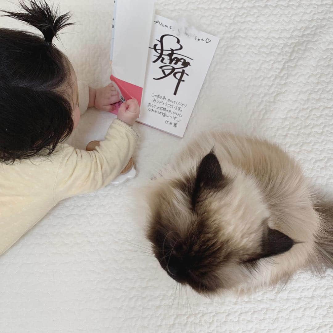 plumeさんのインスタグラム写真 - (plumeInstagram)「先日大好きな辻元舞ちゃん @mai_tsujimoto のスタイルブック発売記念イベントへ行ってきたよ💁🏻‍♀️📕💓 (おベビ連れの神戸から東京だから悩みに悩んで😣) . . 本当はぷんも連れて行きたかったけど😿でもプリュムの名前もサインしてもらったよ📝💘 . 本物は凄く美しくそれはそれは輝いておられました🥺✨✨💗 またいつか会えますように…💫 . . 子連れの東京はトラブルだらけだったけど、本当に沢山の人達に助けられました😭🙏おかげで凄く楽しかった💞✨ . . . . . . 完全ママの趣味投稿でごめんなさい🤣🙏新年度やけど思い出記念に💓 . . #辻元舞 #トークショー #令和  #プリュムのいる生活 #猫のいる暮らし  #ヒマラヤン  #赤ちゃんと猫  #ふわもこ部  #ヒマラニャンズ  #猫  #ねこ  #🐈 #고양이  #kucing  #Кот  #ilovecats #sealpoint #paw #beautifulcat #cat #himalayancat  #catsofinstagram  #catloversclub  #bestmeow  #bestcats_oftheworld  #weeklyfluff  #bestanimal #cutepetclub #grumpycat #toothpaste」4月1日 8時43分 - plumestagram