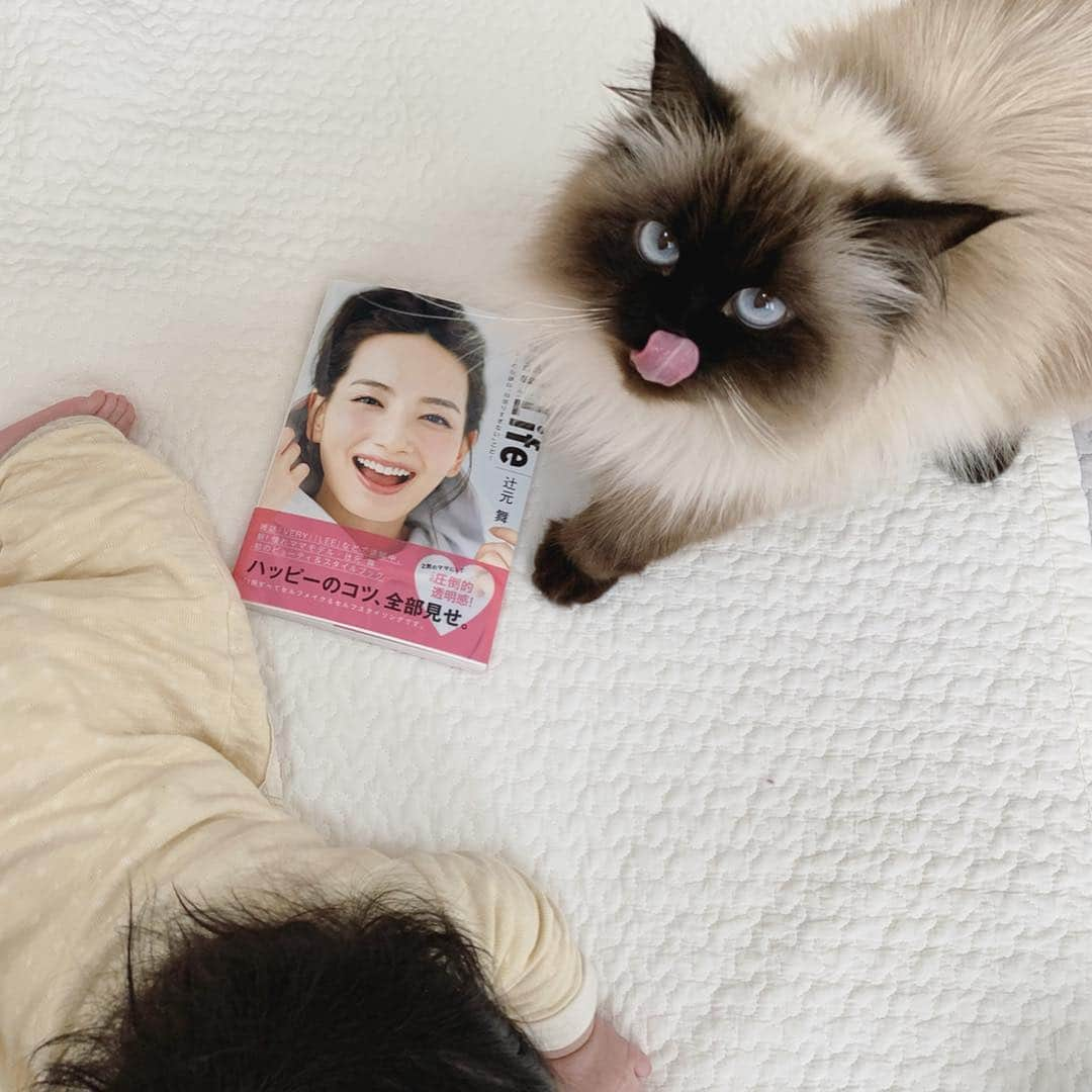 plumeさんのインスタグラム写真 - (plumeInstagram)「先日大好きな辻元舞ちゃん @mai_tsujimoto のスタイルブック発売記念イベントへ行ってきたよ💁🏻‍♀️📕💓 (おベビ連れの神戸から東京だから悩みに悩んで😣) . . 本当はぷんも連れて行きたかったけど😿でもプリュムの名前もサインしてもらったよ📝💘 . 本物は凄く美しくそれはそれは輝いておられました🥺✨✨💗 またいつか会えますように…💫 . . 子連れの東京はトラブルだらけだったけど、本当に沢山の人達に助けられました😭🙏おかげで凄く楽しかった💞✨ . . . . . . 完全ママの趣味投稿でごめんなさい🤣🙏新年度やけど思い出記念に💓 . . #辻元舞 #トークショー #令和  #プリュムのいる生活 #猫のいる暮らし  #ヒマラヤン  #赤ちゃんと猫  #ふわもこ部  #ヒマラニャンズ  #猫  #ねこ  #🐈 #고양이  #kucing  #Кот  #ilovecats #sealpoint #paw #beautifulcat #cat #himalayancat  #catsofinstagram  #catloversclub  #bestmeow  #bestcats_oftheworld  #weeklyfluff  #bestanimal #cutepetclub #grumpycat #toothpaste」4月1日 8時43分 - plumestagram