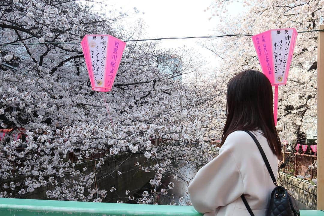 笛木優子さんのインスタグラム写真 - (笛木優子Instagram)「おはようございます🌸 新年度が始まりますね。 気持ち新たに頑張って行きましょう🙆‍♀️」4月1日 8時57分 - yukofuekiyumin