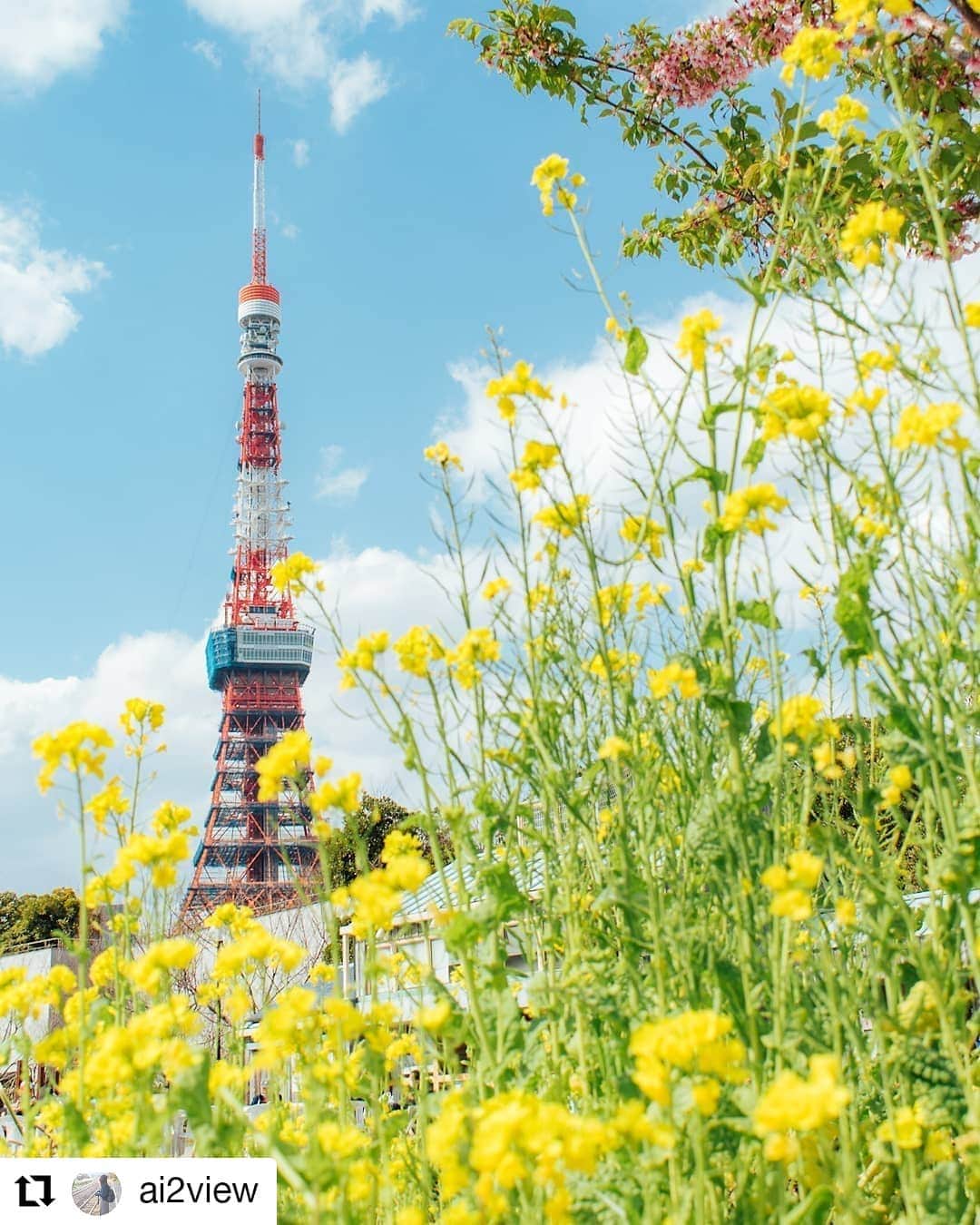 カメラのキタムラさんのインスタグラム写真 - (カメラのキタムラInstagram)「#Repost @ai2view 様 • • • • • • #landmark  Location:Tokyo  4月1日月曜日。  街も人も動き出すよ。  新元号、何になるかなー？  #ファインダー越しの私の世界#igで繋がる空#東京#東京タワー#菜の花#はなまっぷ#私の花の写真#キタムラ写真投稿#東京カメラ部#カメラ好きな人と繋がりたい#写真撮ってる人と繋がりたい #tokyo#tokyotower#flowers#flowerphotograph#tokyocameraclub#camera_club_finders#team_jp_#art_of_japan_#photo#camera#light_nikon#nikon_photography#nikon#d5600」4月1日 9時05分 - camera_kitamura