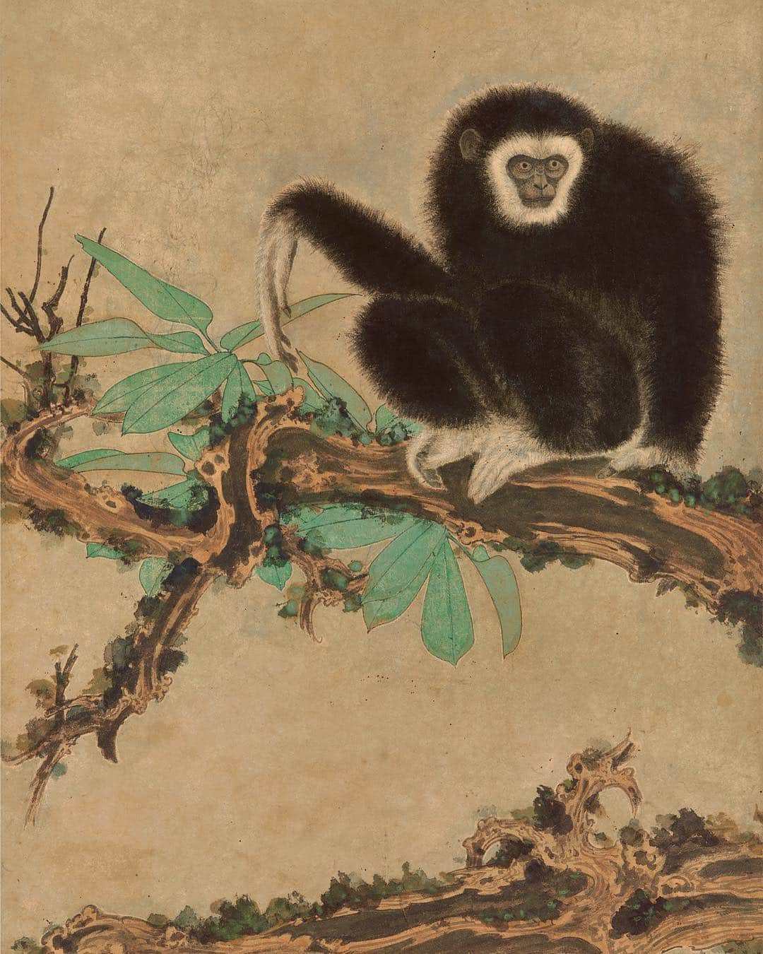 サザビーズさんのインスタグラム写真 - (サザビーズInstagram)「Go wild! Our Fine Chinese Paintings sale is populated with a variety of wild animals, including ‘Gibbon on Old Tree’ by Zhang Daqian, painted while the artist was staying in Darjeeling in India, ‘A Family of Tigers’ by Zhang Shanzi, Daqian’s brother, and ‘Lion Standing on Rock’ by Gao Qifeng. Visit them at the #HongKong Convention and Exhibition Centre, where they are on view through 1 April. #SothebysHongKong #SothebysAsianArt」4月1日 9時30分 - sothebys