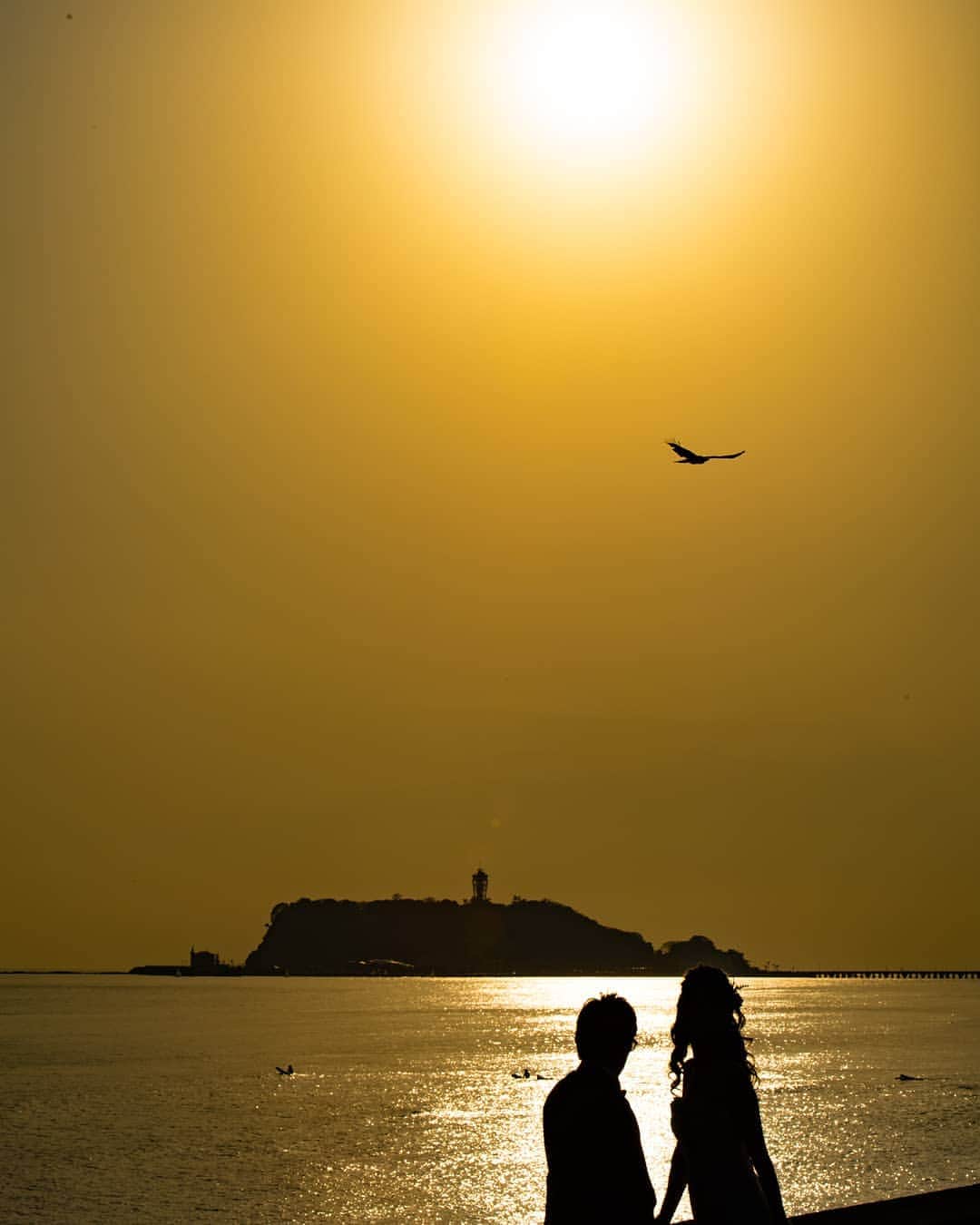 鎌倉プリンスホテル写真室_la-vie factoryのグルメインスタ