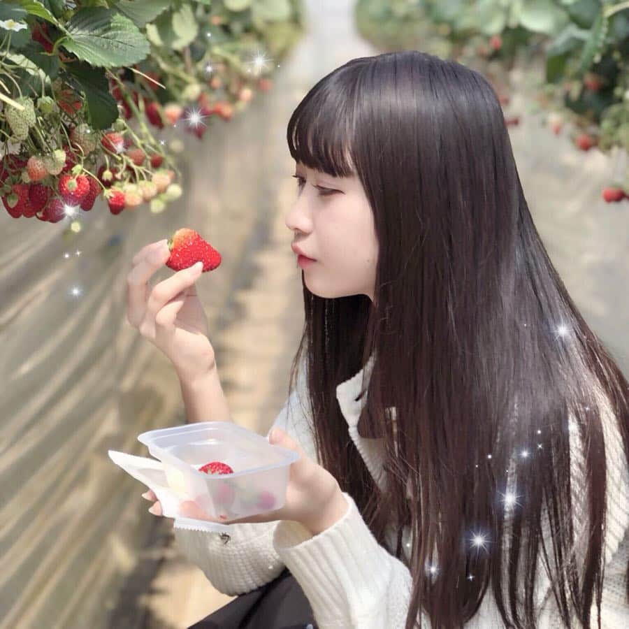 高木波夏のインスタグラム：「苺ってかわいい 🍓 . . . #いちご狩り #いちご #苺 #strawberry #ハラ塾DREAMMATE」