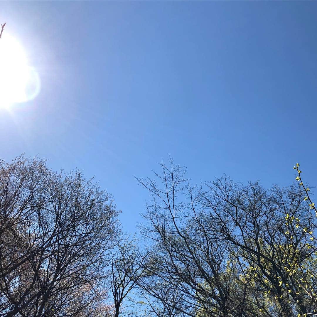 中野佑美さんのインスタグラム写真 - (中野佑美Instagram)「お友達がお空に逝きます…  ダンちゃん 綺麗なお空だよ  ダンちゃん ありがとう🌈 又 あおうね…  #ダンちゃんありがとう  #おそらへ🌈  #また会おうね # @dan.0222」4月1日 10時13分 - yumi.coconutsu