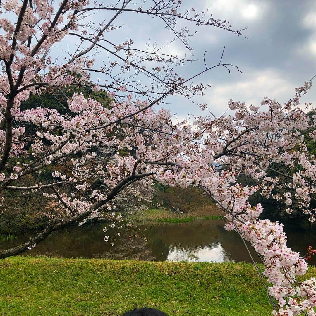 DUTTCHさんのインスタグラム写真 - (DUTTCHInstagram)「皇居桜🌸  一般公開行ってきました。  そして、お疲れさまでしたと感謝。 一礼してきました。  いよいよ新元号発表か。  #皇居桜 #一般公開 #平成最後」4月1日 11時08分 - uzmkduttch
