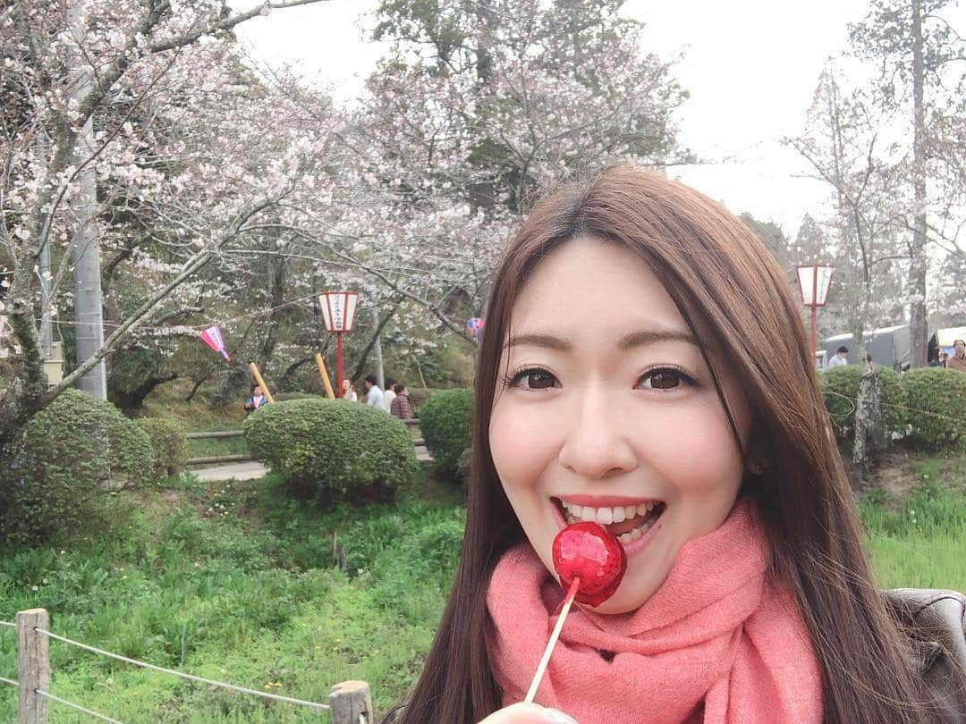 江川清音さんのインスタグラム写真 - (江川清音Instagram)「﻿ 🌸茂原公園🌸﻿ 「日本さくら名所100選」に選ばれた茂原公園✨﻿ ソメイヨシノやサトザクラ、ヤマザクラなど約2850本の桜が咲き誇ります💕﻿ ﻿ 満開手前といった感じでしたが、十分美しかったです🥰﻿ ﻿ 初めての名所でしたが、もうお気に入り💓笑﻿ 池より少し奥に行くと広場があり、屋台やステージなどが設けられていました🍴💡﻿ ﻿ わんちゃんなど、動物ＯＫ🐶🐱﻿ 軽くバトミントンなどＯＫ🎾﻿ レジャーシートＯＫ💨﻿ いくつかの遊具が何ヶ所かにあって子供が飽きない👧🏻📛﻿ 蓮池には亀がいて癒される🐢←私仕様﻿ ﻿ 都内の公園のように人でごみごみした感じもなかったです😌﻿ さすが、さくらCh.の千葉エリアで注目されているランキング1位なだけあります🏆(4/1現在)﻿ ﻿ 素敵な桜名所をまた発見する事ができました❤️❤️﻿ ﻿ #桜 #ソメイヨシノ #染井吉野 #サトザクラ #里桜 #ヤマザクラ #山桜 #茂原公園 #勝手にさくプロ大使 #お花見 #いちご飴 #大好き」4月1日 11時13分 - egawasayane