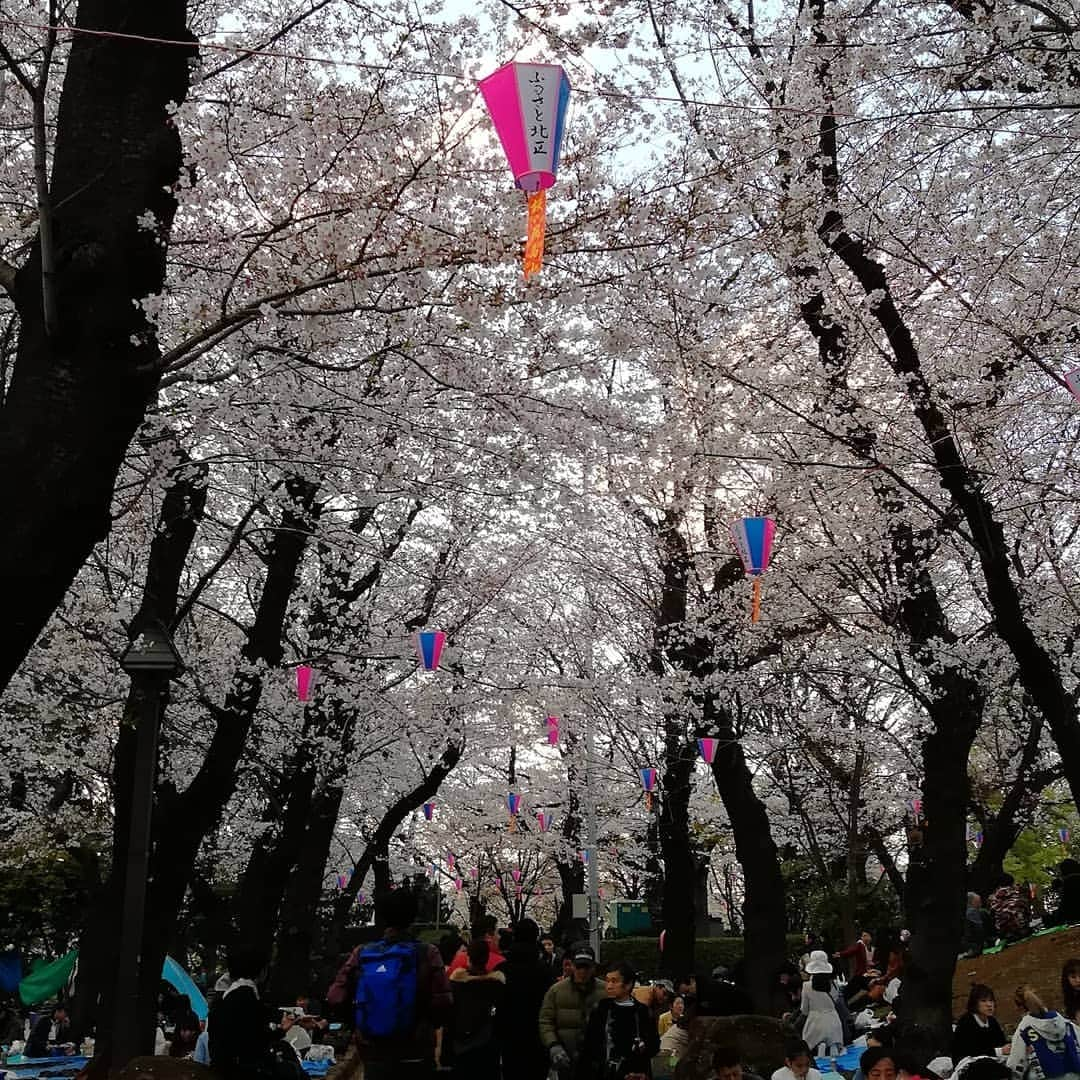 千種ゆり子さんのインスタグラム写真 - (千種ゆり子Instagram)「【4/1千種ゆり子の空てんき】 昨日は飛鳥山公園にも行きました🌸徳川吉宗が庶民のために桜を植え、お花見の名所となった。 . 人々が桜の下で飲めや歌えやの大騒ぎは今も昔も変わらない、平和な風景でした😊 . 新元号は「穏宝」と勝手に予想‼️災害のない穏やかな時代になりますように… . #新元号発表 #新元号 #予想 #飛鳥山公園 #徳川吉宗 #花見」4月1日 11時21分 - chikusa_yuriko