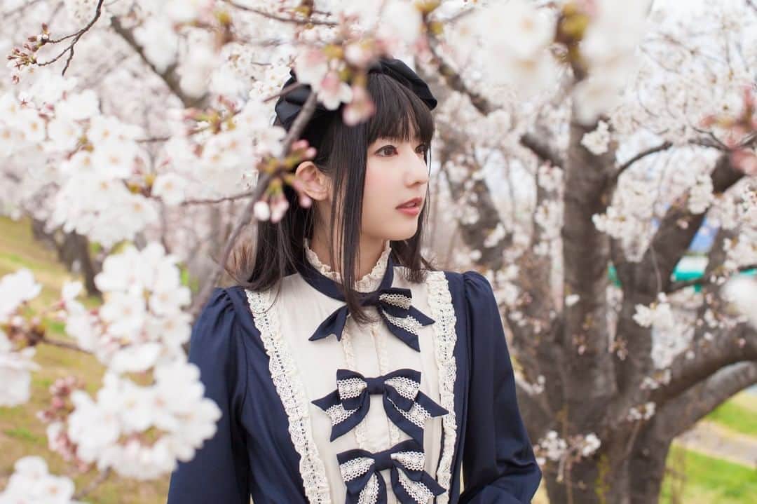 渚さんのインスタグラム写真 - (渚Instagram)「‬今日から4月！ 薄手の服もそろそろ着れるかな… この撮影の日は死ぬほど寒かったです😨 ‪photo:ジャックさん ‪#桜 #桜撮影 #ポートレート #お花見 #portrait ‬#お花見 #cherryblossom #lolita」4月1日 11時30分 - nagi731