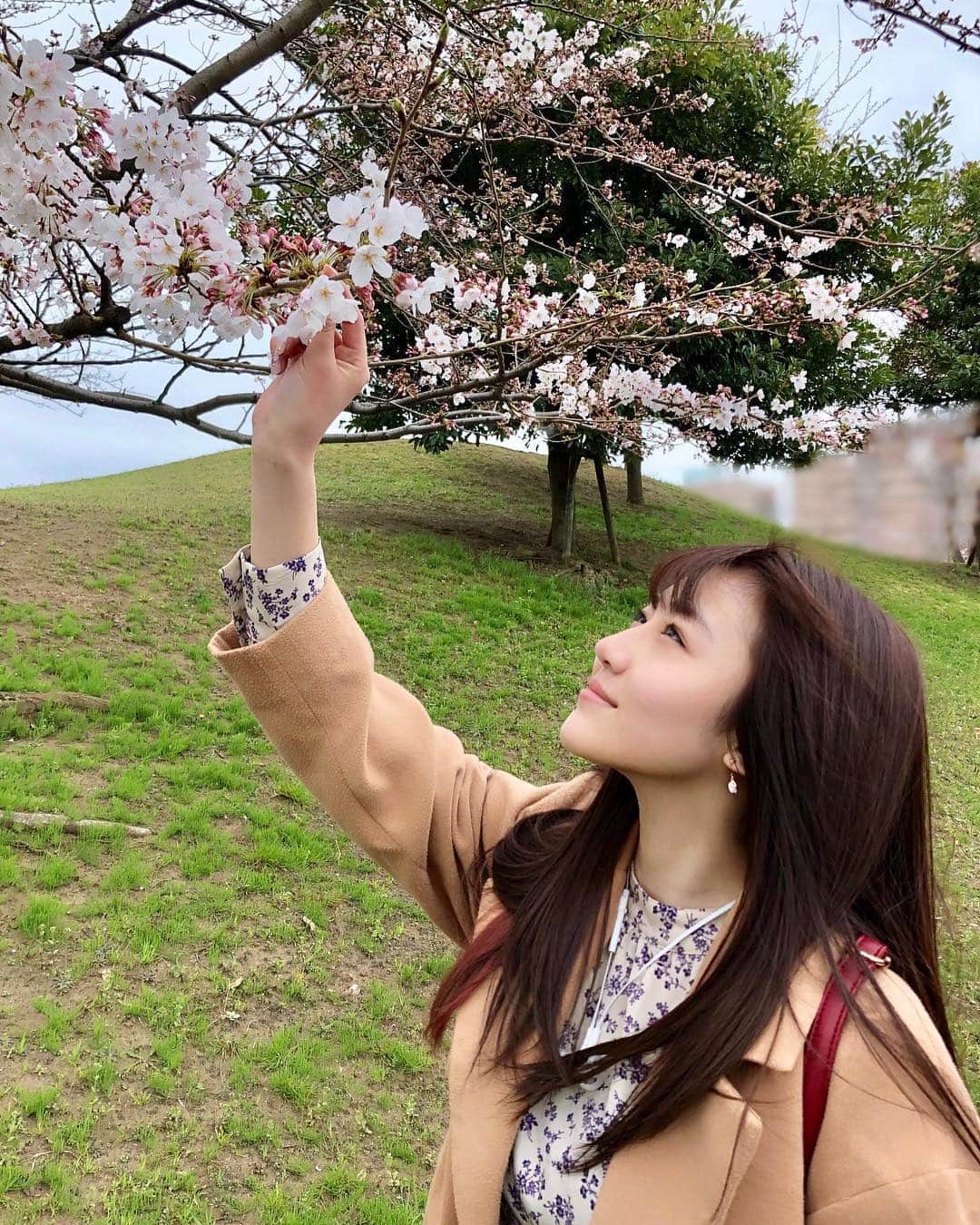 久代梨奈さんのインスタグラム写真 - (久代梨奈Instagram)「#桜 まだ満開ではなかった😢🌸 父に咲いてるだろうから行こう！と言われて行ったけど桜はちらほら🙄🙄」4月1日 11時39分 - rina.kushiro_official