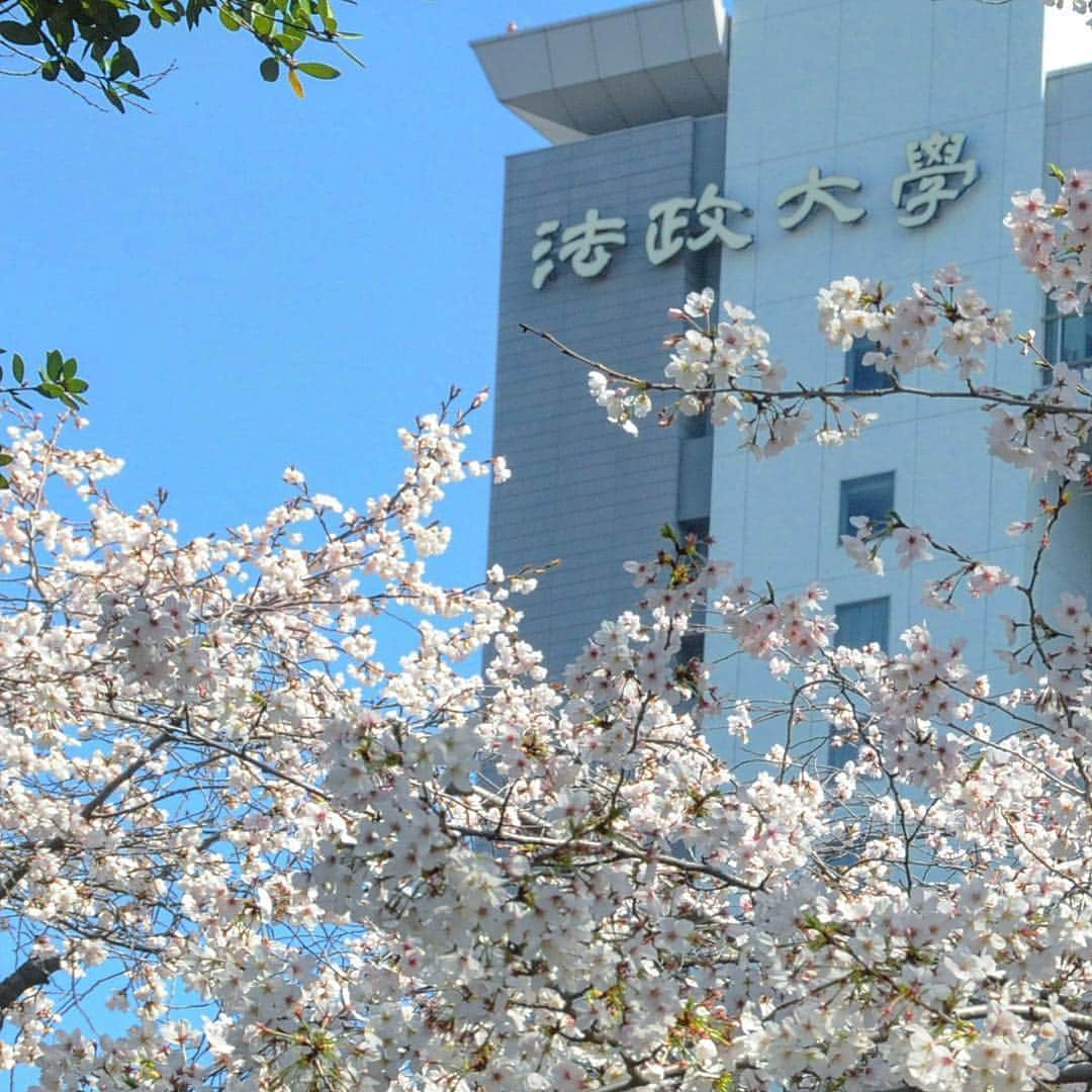 法政大学さんのインスタグラム写真 - (法政大学Instagram)「今日から新年度。新元号も発表されましたね。各キャンパスでは、ガイダンスが既に始まっています。 外濠公園の桜はピークを迎えていますが、外堀通りの桜並木は蕾も多く、これから満開を迎えるようです。  #法政 #大学 #hosei #university #桜 #満開 #市ヶ谷 #外濠 #cherryblossom #bloom #hoseiblue」4月1日 12時06分 - hosei_university
