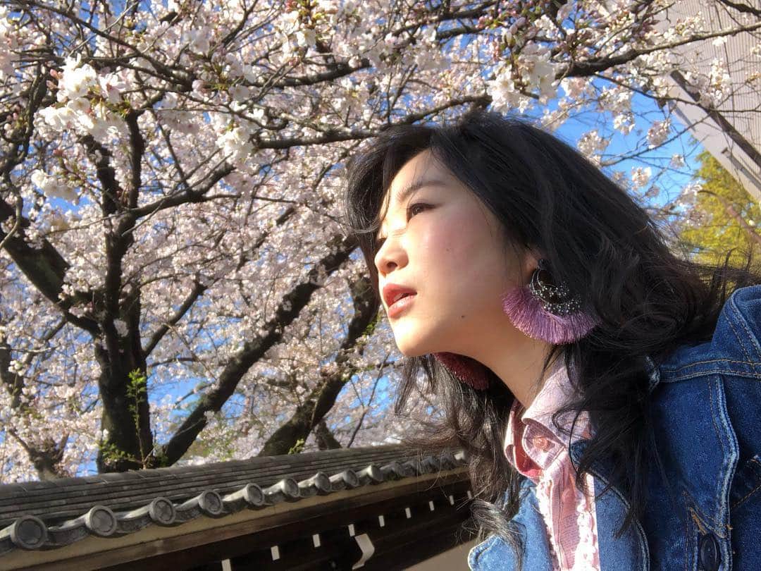 佐々木心音さんのインスタグラム写真 - (佐々木心音Instagram)「「令和」 そう決まった時、 私は桜の下で撮影してた。 桜も、 万葉集も、 日本ならでは。 どんな風になってくんだろね。 . . . #reiwa #cherryblossom #japan #manyoshu #japanesegirl #actress #singersongwriter #kokonesasaki  #令和 #桜と撮影 #お楽しみに #新年号 #どうなっていくのか #桜 #万葉集 #日本人でよかったシリーズ #佐々木心音」4月1日 12時24分 - sasakikokone