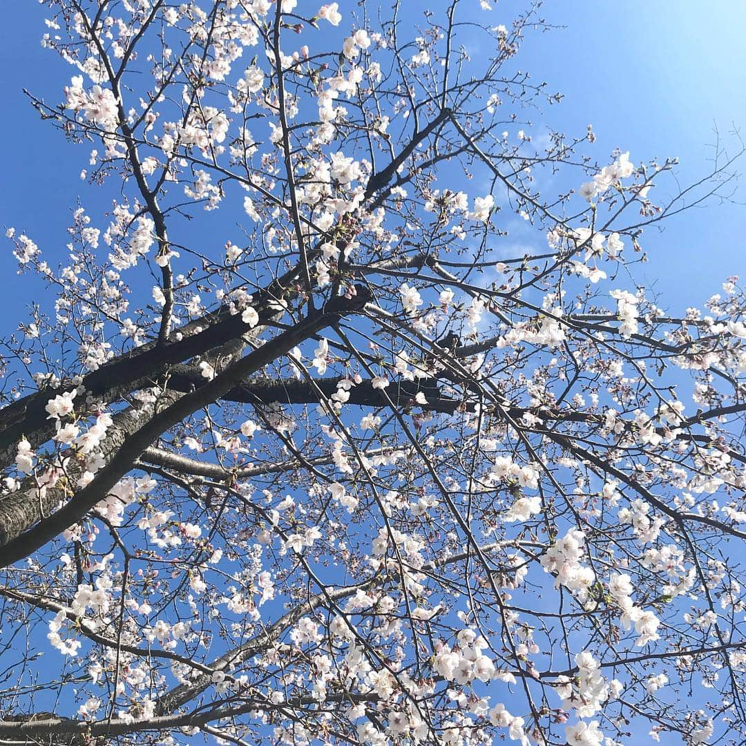 池添俊亮さんのインスタグラム写真 - (池添俊亮Instagram)「新元号 令和 ですね🌸  #令和」4月1日 12時28分 - zoe_boy_0427