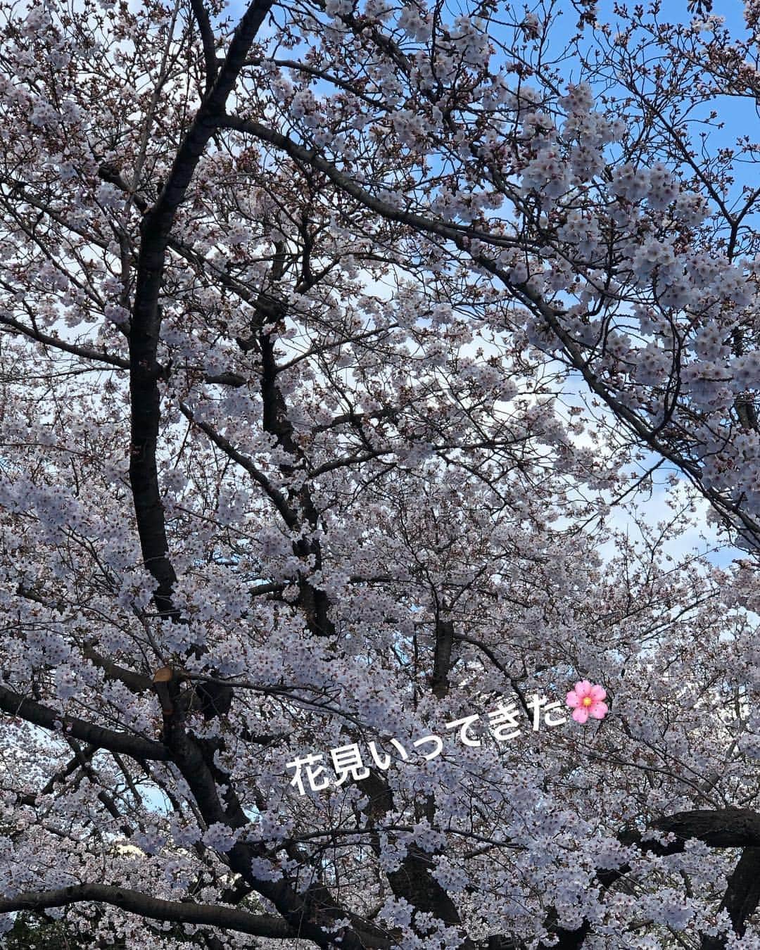 AIKAさんのインスタグラム写真 - (AIKAInstagram)「3/31は花見してボウリングしてきたよ❤たのぴかった💜  #aika #花見 #代々木公園 #桜 #ボウリング #ゲーセン #ピーピー鳴る」4月1日 12時30分 - aika_honmono