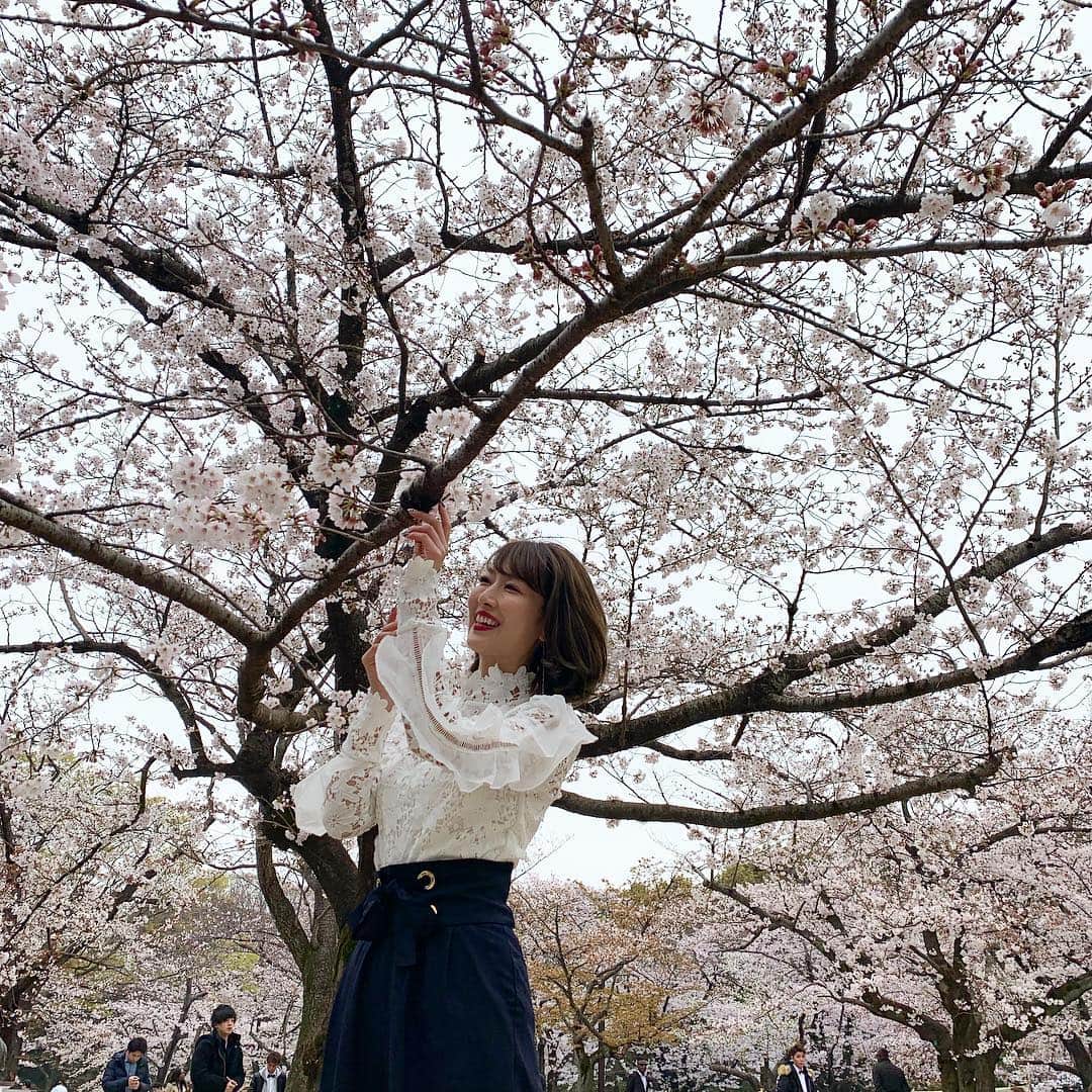 梅野舞さんのインスタグラム写真 - (梅野舞Instagram)「新元号「令和」  万葉集の梅の花から取ったものみたい。  新しい時代のはじまりですね🎉  3.30に開催された OHANAMI 2019 #すごい花見 🌸 🌸  ゲストさん達への心配りは もう至れり尽くせり😍 ルームシューズも種類豊富で ケータリング、有名店のお弁当、ズワイガニや伊勢海老まで🦞  各テーブルにも ベーグルやお菓子  ブランケットに充電器まで 一日中ここに居たかった😍✨ 見上げれば綺麗な桜  素敵空間で過ごす時間は 贅沢で幸せな時間に …happy💋  #新元号#令和#万葉集#新しい時代#お花見#桜#代々木公園 #すごい花見#贅沢#happy#ルームシューズ#ケータリング#キッズエリア#ソファー#sp#instagood #instapic#instafood #instaflower」4月1日 12時31分 - mai.umeno