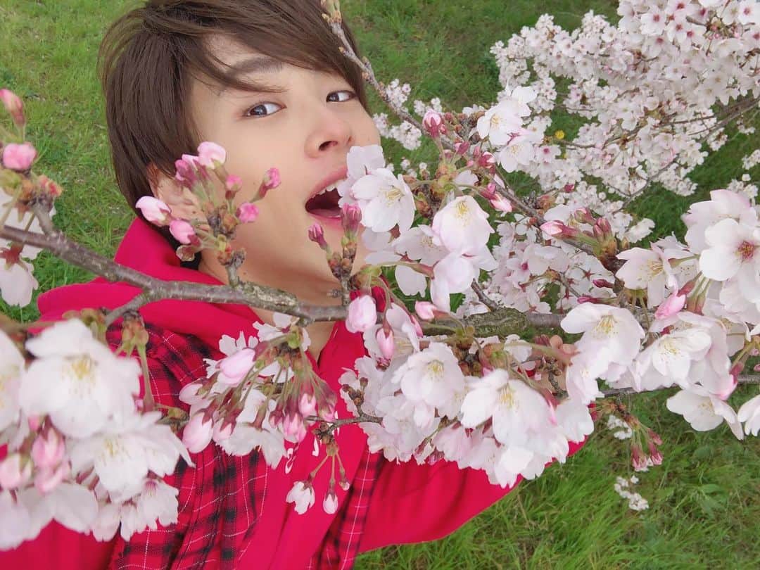 山口託矢さんのインスタグラム写真 - (山口託矢Instagram)「. ようこそ『春』🌸 ようこそ『4月』✌️✌️ そして もうすぐようこそ『令和』👌🙆‍♂️ . . #春 #spring #4月 #april  #新元号 #令和」4月1日 12時42分 - taku_ya_maguchi