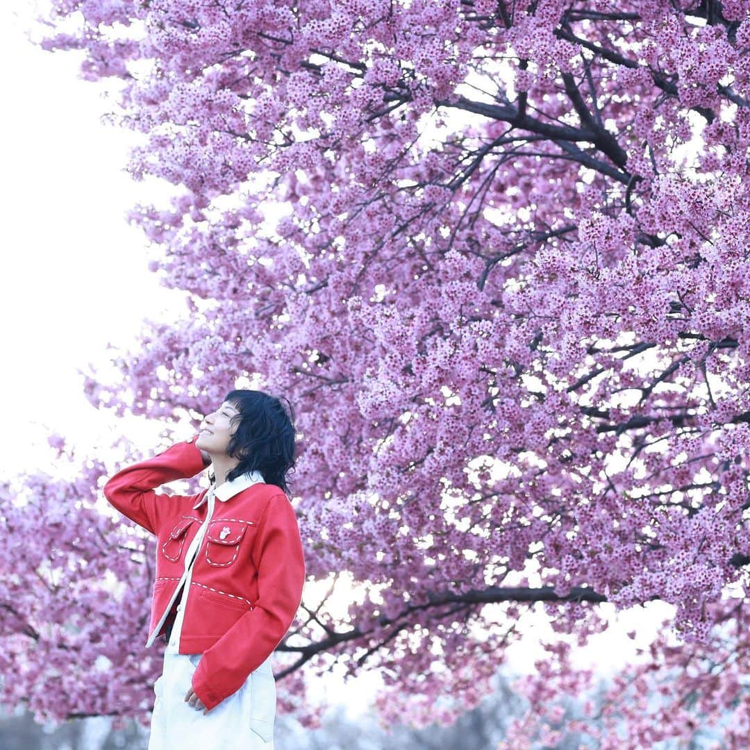奥井亜紀さんのインスタグラム写真 - (奥井亜紀Instagram)「すてきな四月になりますように。心の花も咲きますように。」4月1日 12時43分 - akiokui