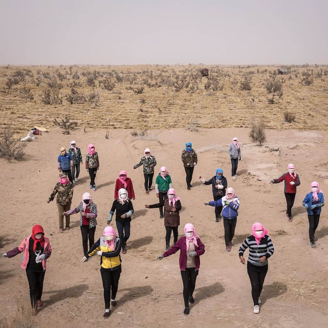 TIME Magazineさんのインスタグラム写真 - (TIME MagazineInstagram)「Women dance during an open-air exercise session after planting saxaul trees, in a bid to prevent desertification from affecting cities, in Wuwei, in #China's Gansu Province, in late March. Photograph by Wang He—@gettyimages」4月1日 12時57分 - time