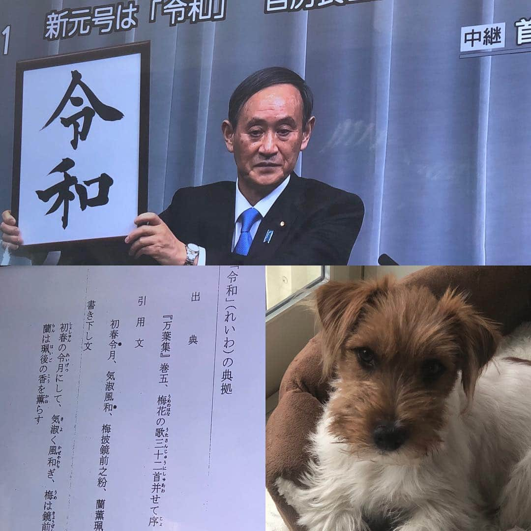 辻 よしなりさんのインスタグラム写真 - (辻 よしなりInstagram)「新元号は「令和」。 身が引き締まる思いです。 桜ではなく、梅。 万葉集。 奥ゆかしくて、温故知新のイメージがするのは僕だけでしょうか？ 新元号の時代に、楽しい日々を積み重ねていきたいですね。  令和元年＝令和1年の年に イチがウチに来たことを 感慨深く受け止めました。 イチが我が家に新風を運んでくれたように、日本にも新しい気持ちの良い風が穏やかに吹くといいですね。  #令和 #新元号 #万葉集 #国書 #梅 #イチ #新風  #赤ん坊犬 #成長過程 #いぬすたぐらむ  #ジャック部  #辻よしなり #dogstagram #ジャックラッセルテリア  #ジャックラッセル  #ジャックラッセルテリア部 #ジャック」4月1日 13時47分 - yoshinari_tsuji