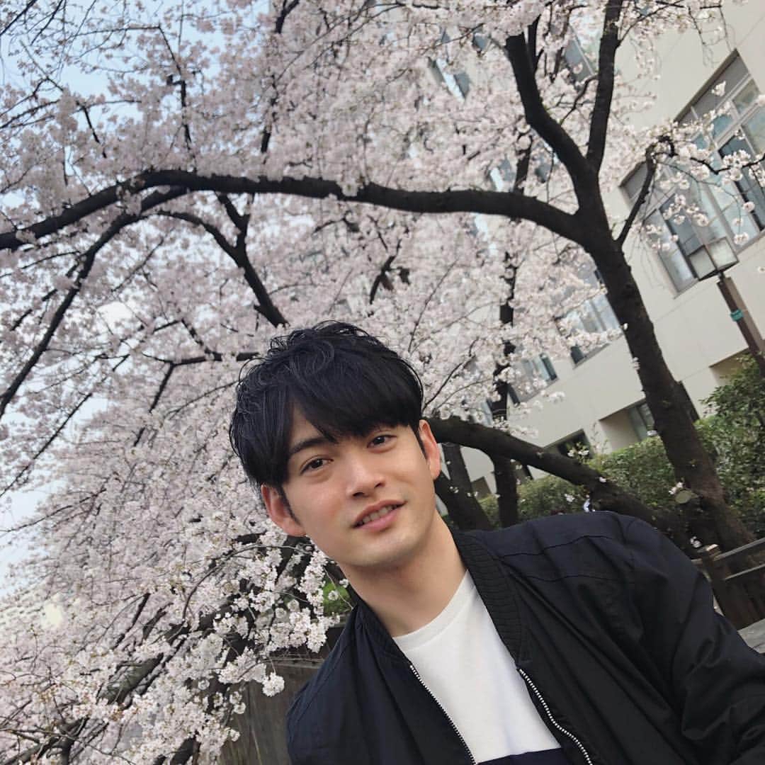 坂口和也さんのインスタグラム写真 - (坂口和也Instagram)「さくらー🌸 #桜 #花見 #通りすがり #俳優 #actor」4月1日 13時49分 - kazunari_sakaguchi