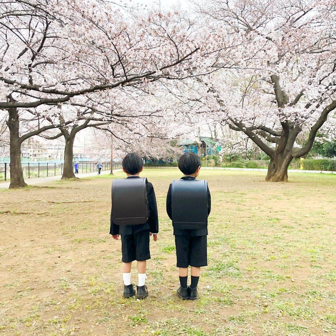 ᴋᴀɴᴀᴋöさんのインスタグラム写真 - (ᴋᴀɴᴀᴋöInstagram)「Hello April 桜が 満開なので…🌸🌸🌸 ピッカピカのランドセルを 背負って 記念に 前撮り🎒✨ * ランドセルを背負って、小学校まで 歩いて練習してみたよ🚶‍♂️🚶‍♂️✨ * ツインズ君も、来週から 新一年生です👦🏻👦🏻🏫✨ * 4月も どうぞよろしくお願いします🌸🌸🌸 * #桜#ランドセル#新一年生#もうすぐ1年生#sakura」4月1日 23時20分 - kanakokko_34_