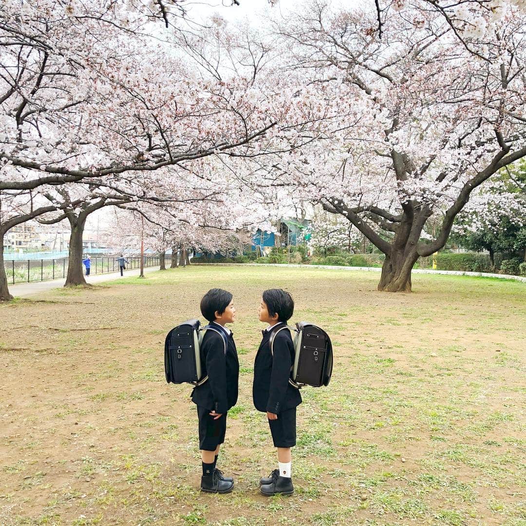 ᴋᴀɴᴀᴋöさんのインスタグラム写真 - (ᴋᴀɴᴀᴋöInstagram)「Hello April 桜が 満開なので…🌸🌸🌸 ピッカピカのランドセルを 背負って 記念に 前撮り🎒✨ * ランドセルを背負って、小学校まで 歩いて練習してみたよ🚶‍♂️🚶‍♂️✨ * ツインズ君も、来週から 新一年生です👦🏻👦🏻🏫✨ * 4月も どうぞよろしくお願いします🌸🌸🌸 * #桜#ランドセル#新一年生#もうすぐ1年生#sakura」4月1日 23時20分 - kanakokko_34_