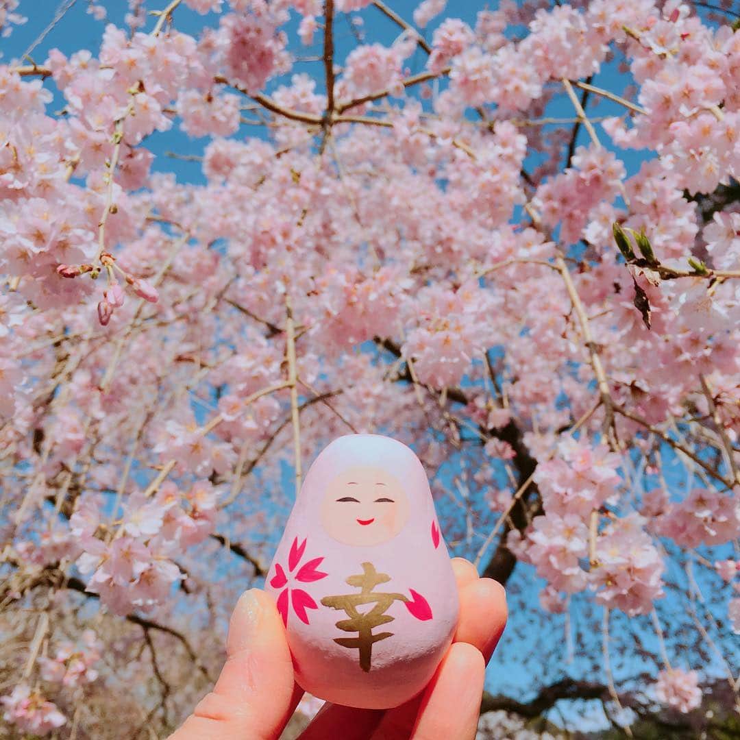 内田絢子さんのインスタグラム写真 - (内田絢子Instagram)「雨上がりの桜。  澄んだ青空と淡いピンクの桜、美しいコントラストにうっとり♡  この季節は、開花状況やお天気に一喜一憂しながら、桜を楽しむ感じが好き。  #醍醐寺 #お花見 #京都桜 #京都桜巡り #京都桜2019  #京都ぶらり #京都桜散策 #京都散策 #春の京都 #桜コレクション」4月1日 23時15分 - uccijun