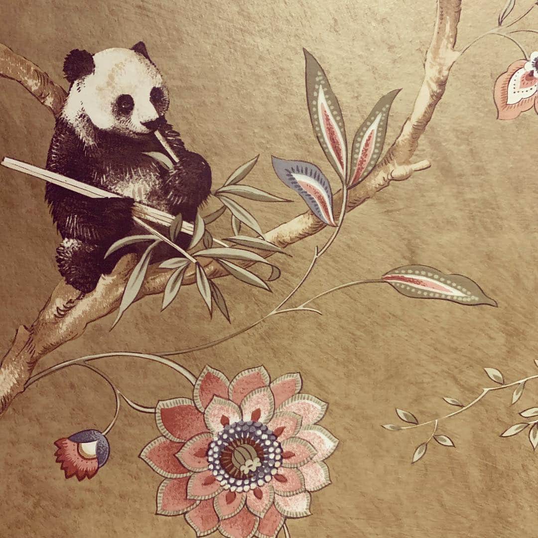 ミランダ・カーさんのインスタグラム写真 - (ミランダ・カーInstagram)「Panda 🐼 #mood」4月1日 23時17分 - mirandakerr