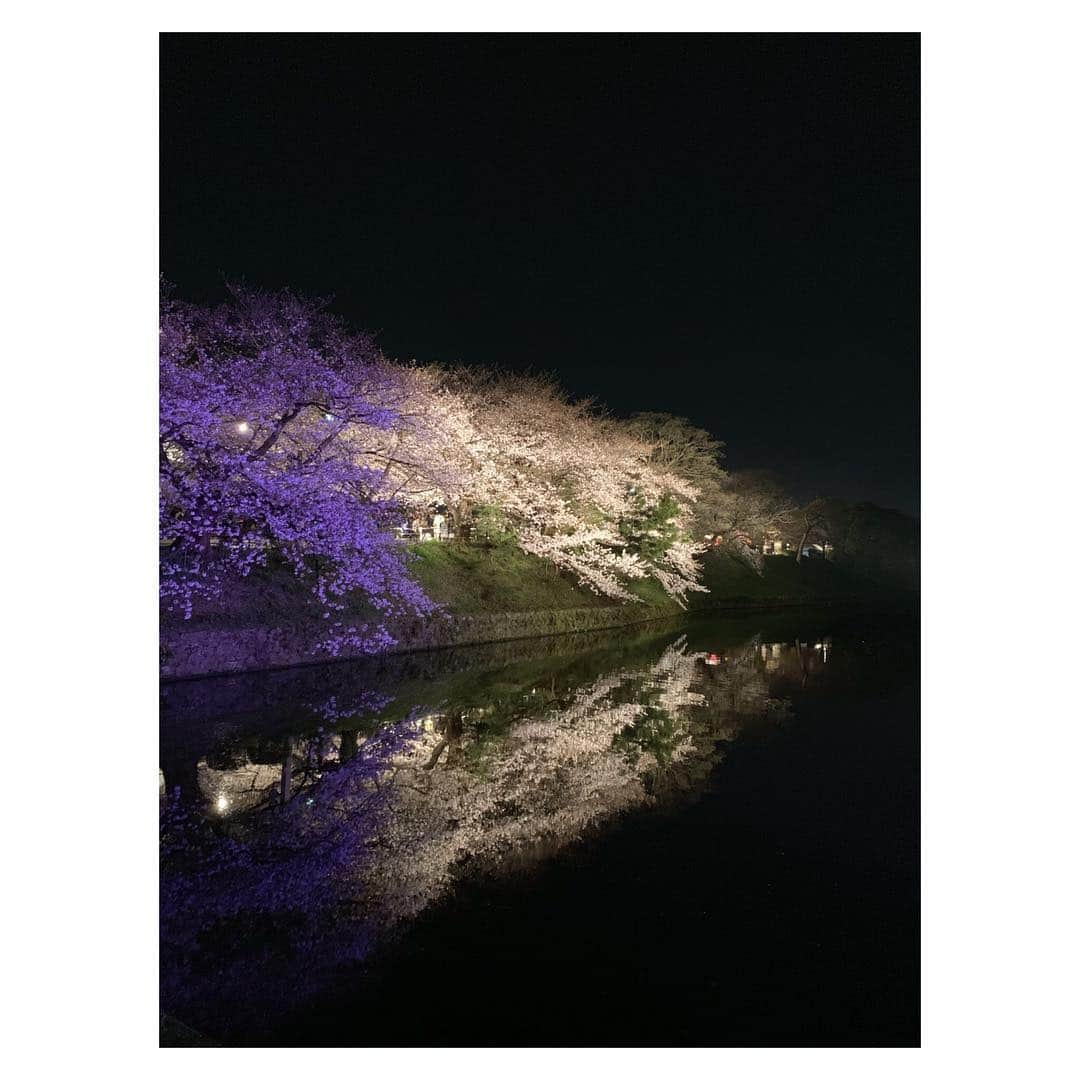 宮司愛海さんのインスタグラム写真 - (宮司愛海Instagram)「仕事で福岡に帰った際、夜桜を見に行くことができました🌸 ライトアップされた桜が本当にきれいで、思わずため息...も束の間、一緒に行った母と妹と始まる写真撮影大会。笑 お堀の水に反射した桜が幻想的です。 . 出店もたくさんあり、念願のハットグ（チーズ入りの韓国式ホットドッグ）デビュー！「映える(ばえる)写真撮ろうよ〜！」なんて妹と言いつつも、食べるのに苦戦してあまりうまく撮れませんでした。笑 （そもそもかぶりついた時点でチーズが漏れ出ているという） . 明日からは気温がまた下がるようです。お花見のご予定がある方は特にあたたかくしてお出かけくださいね〜。 . #お花見 #桜 #夜桜 #舞鶴公園 #ハットグ」4月1日 23時29分 - manami_miyaji