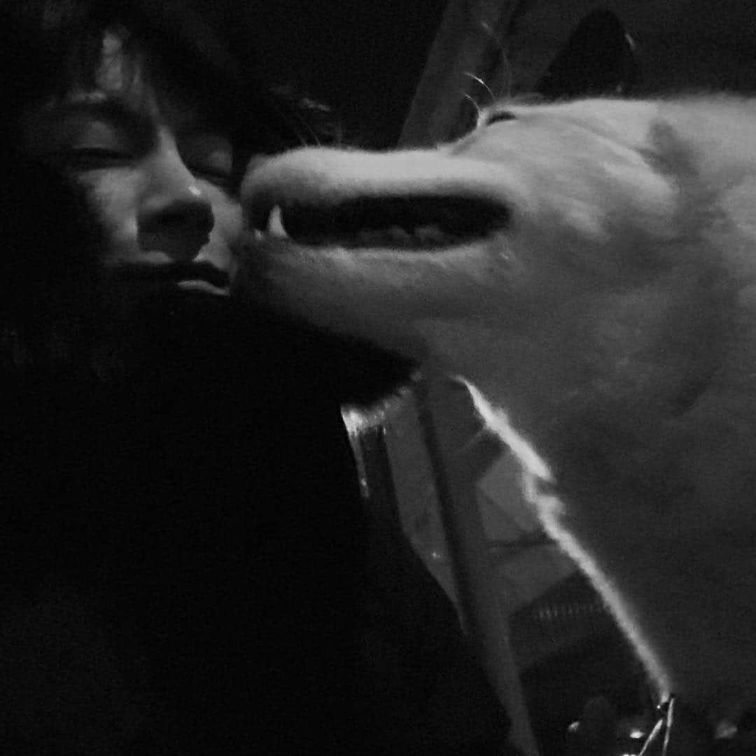 ホン・ジョンヒョンのインスタグラム：「오늘 하루는 어땠나요- 굳밤🌙」
