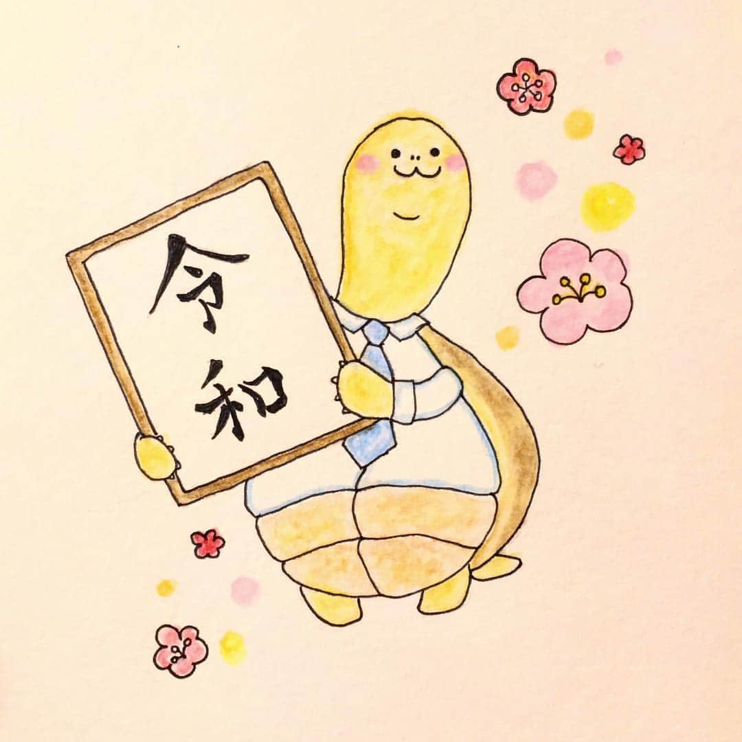小林千鶴のインスタグラム：「幸吉先生による 新元号「令和」発表！  #リクガメ #tortoise #reiwa」