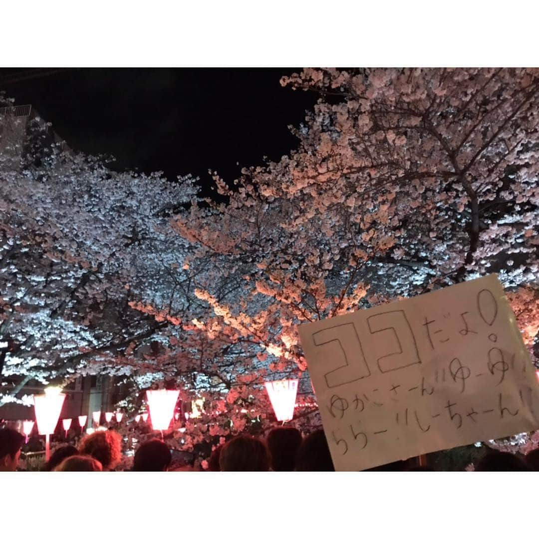 香音有希さんのインスタグラム写真 - (香音有希Instagram)「昨夜はお花見に目黒川へ🌸🌸✨ 日曜だし中目黒での待ち合わせは混雑で難しいのではないかと思案していたら、あっきょんが旗を作ってきてくれましたwww #ココだよ #何故か裏面はCCだよになってる#逆 . 旗の効果は絶大で、 私も一瞬で仲間を見つけられましたが、 それはそれは色んな方の目も奪ってました。爆 旗ってあると思わずみちゃう習性なんだろうなー。 平成最後の花見だね~新元号はなんだろうね~なんて話しながらの練り歩き🌸 爆笑と絶景。 最高なお花見でした(*´ω`*) 次は令和歓迎平成送別会をやろうと盛り上がりました ٩( ᐛ )و #つまりまたすぐ喋りたいということ」4月1日 23時45分 - kaonyuki_yukako