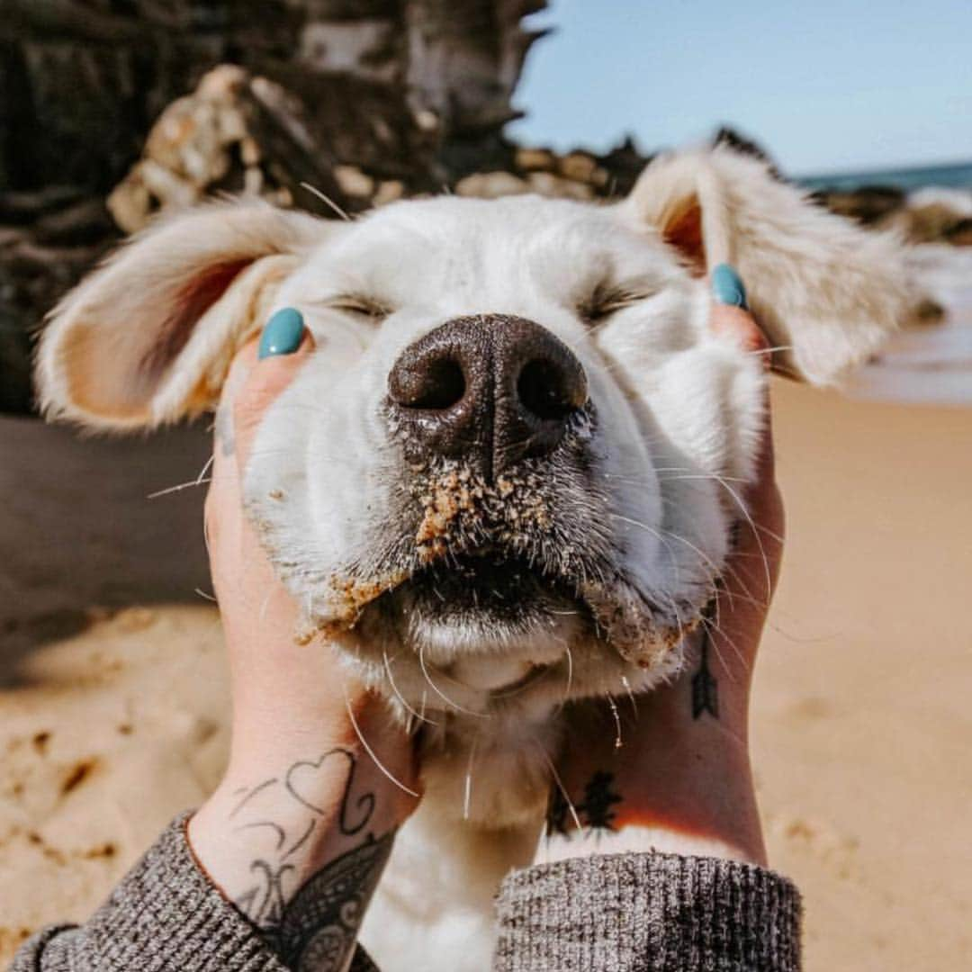 Wet Sealさんのインスタグラム写真 - (Wet SealInstagram)「Smoooshhhfaceeee 😍 @ohanathegoldie #mondaymood」4月1日 23時46分 - wetseal