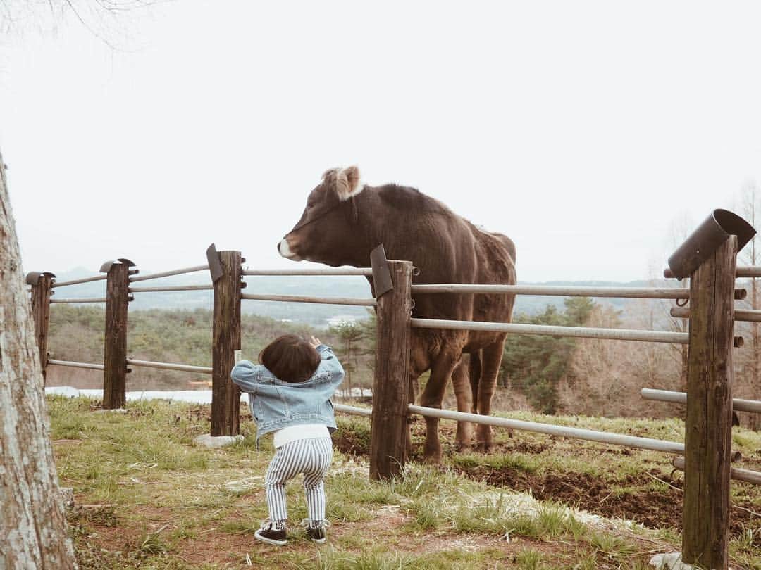 堀江直美のグルメインスタ