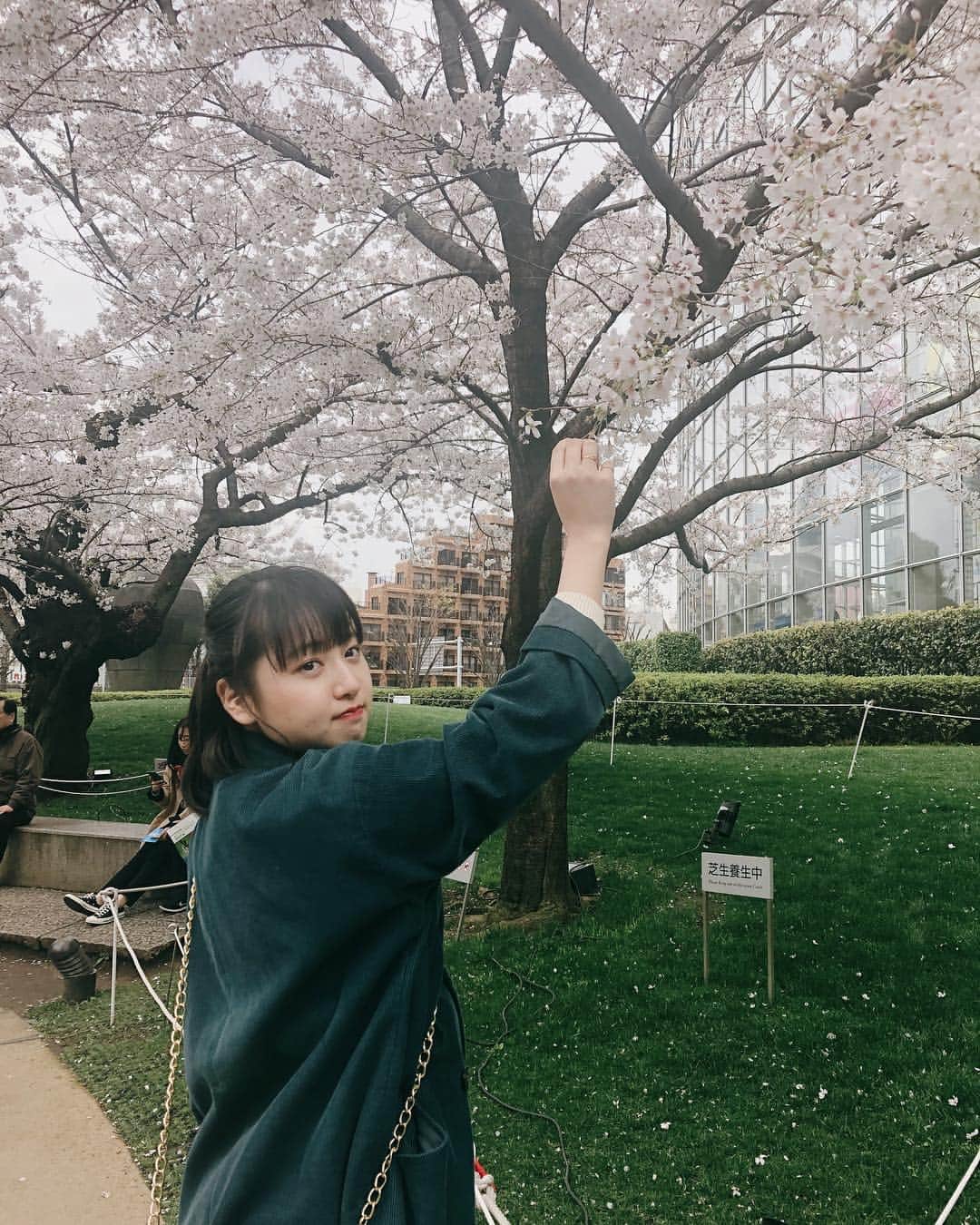 鉄戸美桜のインスタグラム：「🌸 #お花見」