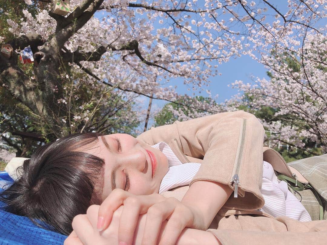 豊永阿紀さんのインスタグラム写真 - (豊永阿紀Instagram)「🌸」4月1日 23時48分 - aki_t_official