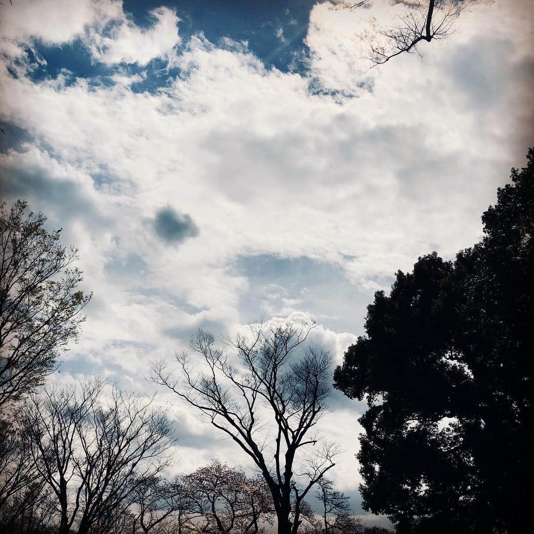 JILLさんのインスタグラム写真 - (JILLInstagram)「「令和」発表の時は打ち合わせあって吉祥寺に着いた瞬間でしたぁ。駅は号外もなく至って普通。  打ち合わせ前に井之頭公園にてしばしお花見🌸美しかった🌸  青空。綺麗な桜。と、思っていたら変わりやすい天気で打ち合わせ中には曇り、冷たい風がピューピュー吹いてるのが窓越しに見えました。  なかなか忘れがたい一日だったな。  この日を懐かしく振り返る日があるんだろうなぁ。  #personz  #jillpersonz #20190401 #新元号 #令和 #wanderfulmemoriestour #アーカイブDVD  #ツアースタンプリリース  #Jfnpark #ジャパニーズポップスラプソディ #personz.net @jillpersonz  #ワンダフルメモリーズツアースタートサイコー #次回ツアーはすべてK」4月1日 23時50分 - jillpersonz