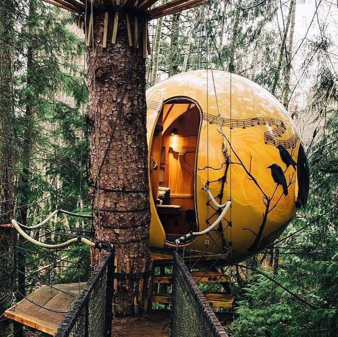 Explore Canadaさんのインスタグラム写真 - (Explore CanadaInstagram)「Wonder what these look like inside? Swipe right! For a tranquil Pacific Northwest getaway, head to the coastal forest of Vancouver Island and spend a dreamy night in one of these unique spherical treehouses (@freespiritspheres). #ExploreCanada 📷: @littlebrownfox & @enchanted.forest 📍: @freespiritspheres, @tourismvancouverisland, @hellobc . Curieux de voir l’intérieur de ces cabanes? Glissez à droite! Pour une escapade paisible dans le nord-ouest du Pacifique, gagnez la forêt côtière de l’île de Vancouver et passez une nuit de rêve dans une de ces magnifiques cabanes dans les arbres (@freespiritspheres). #ExploreCanada 📷 @littlebrownfox & @enchanted.forest 📍 @freespiritspheres, @tourismvancouverisland, @hellobc . #freespiritspheres #ExploreVancouverIsland #ExploreBC #Glamping」4月1日 23時51分 - explorecanada