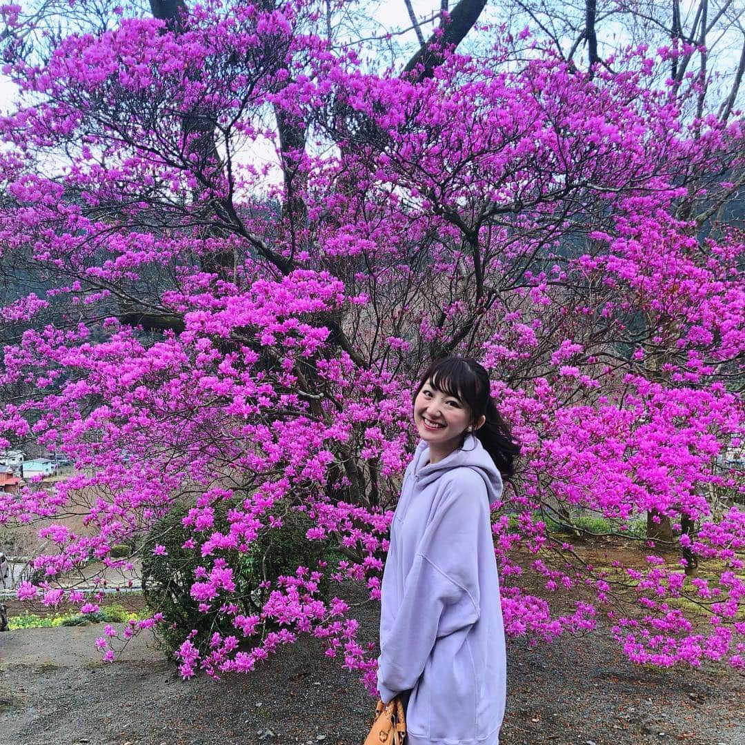 尻無浜冴美さんのインスタグラム写真 - (尻無浜冴美Instagram)「#乙津花の里 ﻿﻿ しだれ桜が有名なんだけど、まだちょっぴり早かった😭😭﻿﻿ 今にも咲きそうなパンパンのつぼみ状態で一週間後ちょうど綺麗なのかな〜て感じでした(＞＜)﻿﻿ しだれ桜じゃないけどお花も一部咲いてたよ♪﻿﻿ 温泉総選挙３位にランクインした#瀬音の湯 とセットで行くのオススメです💕﻿ ﻿ ﻿ #趣味垢さんと繋がりたい ﻿ #しだれ桜 #桜 ﻿ #あきる野市 #あきるの市 #武蔵五日市  #musashiitsukaichi #龍珠院 #さくら🌸 #cherryblossom #花見 #穴場  #温泉 #温泉総選挙 #都内温泉 #tourism #観光スポット #champion #チャンピオンパーカー #チャンピオンコーデ」4月2日 0時16分 - saemi_shinahama