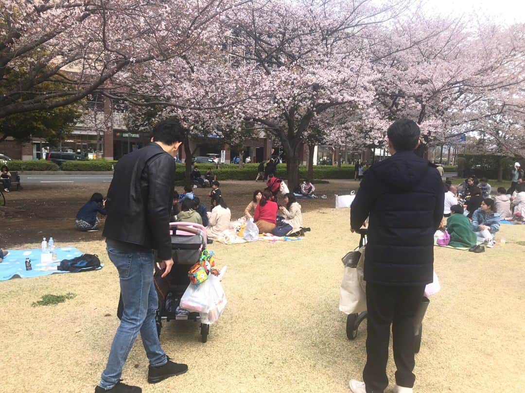 のインスタグラム：「. . .【🌸さくら日和🌸】 . . 相手のママさんとは、思ったより子育て大変だよねー！と労い合いました🤣 . .そんな話をする中、仕事でなかなか時間を合わせられないことの多いパパ達だけどこの日は子守も頑張ってくれていましたよ！ . .詳しくは上記URLからどうぞ☺️ . .#桜 #桜咲く #お花見 #春がきた #ハルちゃん #フリーアナウンサー金谷有希子 #フリーアナウンサー #ママアナウンサー #女の子ママ #11ヶ月」