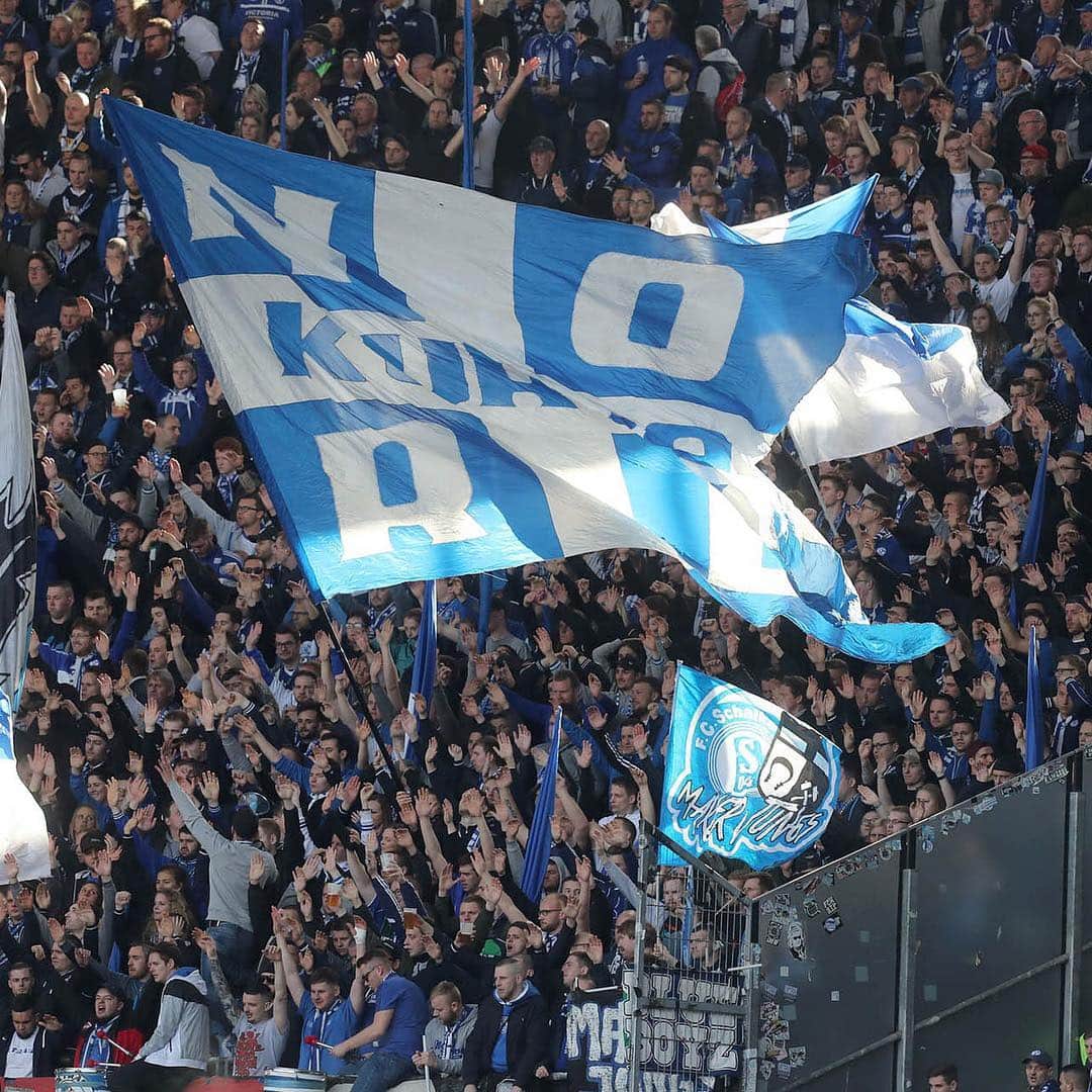 シャルケ04さんのインスタグラム写真 - (シャルケ04Instagram)「Almost 10,000 #Schalke fans in Hannover. Truly incredible support. You guys are the best! 🔵⚪️👊🏼 . . #S04 #Schalke #Knappen #Königsblau #H96S04 #🔵⚪️ #Support #Fans #Futbol #Football #Soccer」4月2日 0時28分 - s04